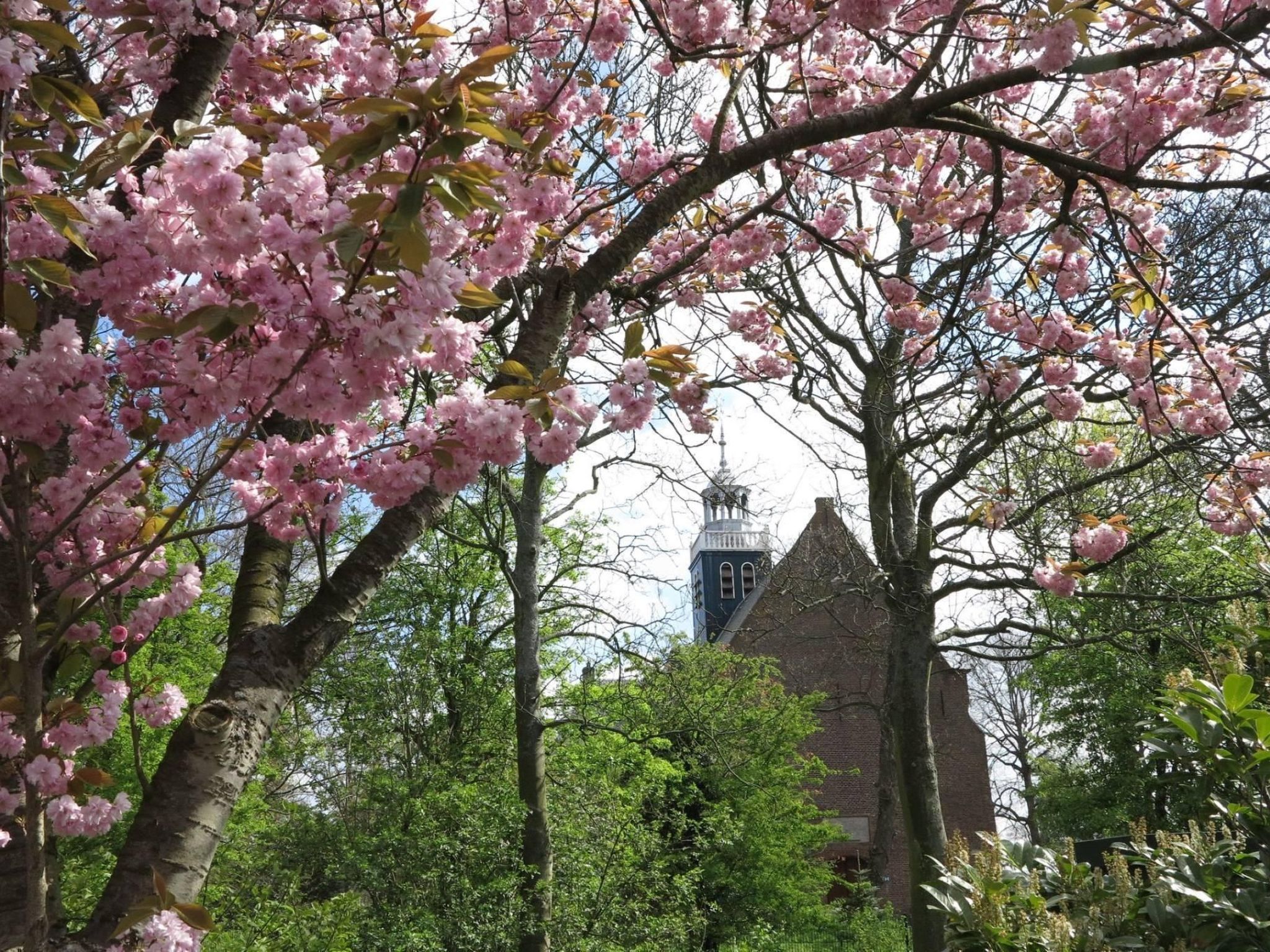 "Windhoos" mit privatem Garten und Terrasse-Binnen