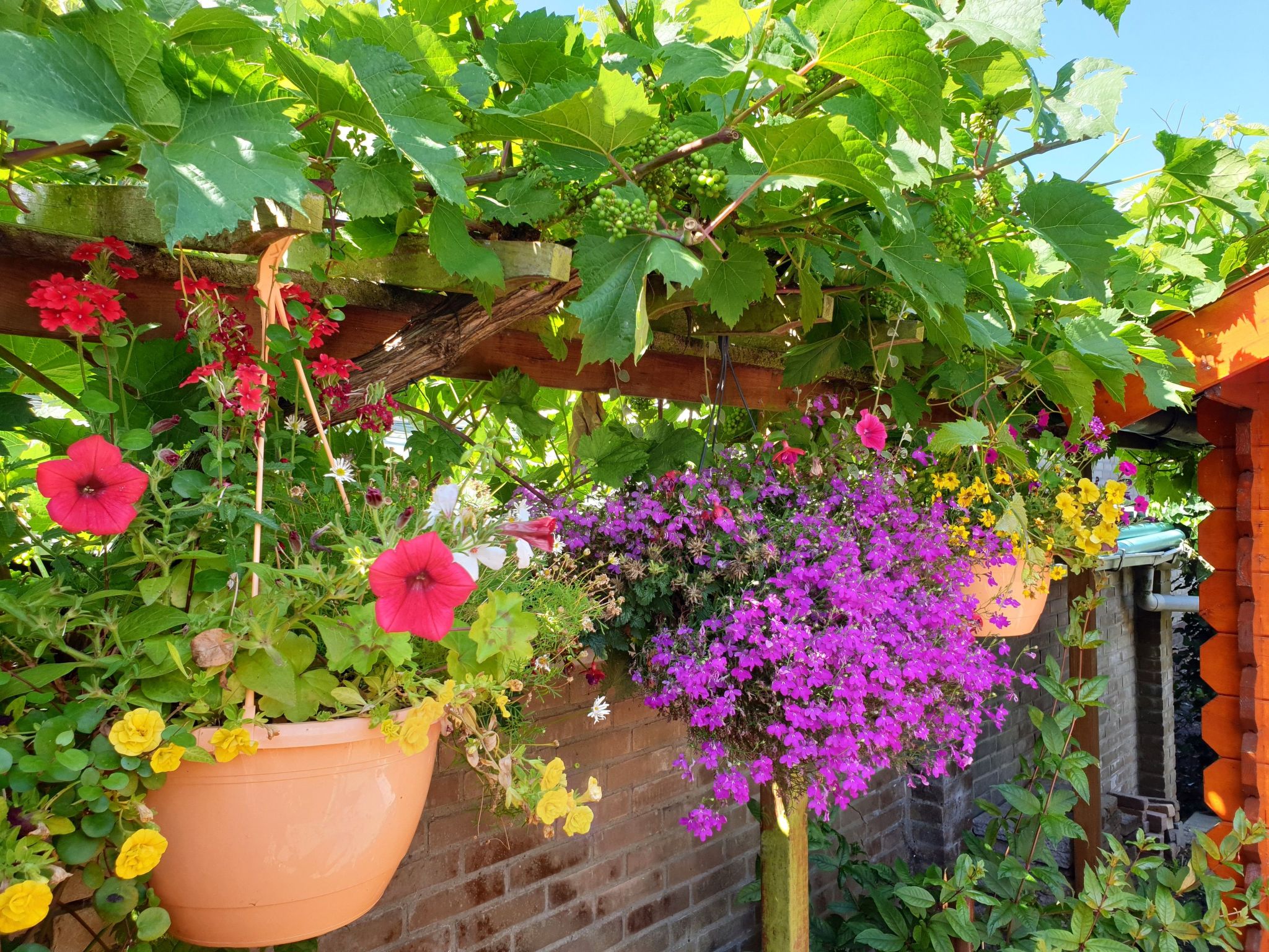 Sommerhaus Klein Wimmenum, Nähe Strand und Dünen-Image-tags.info