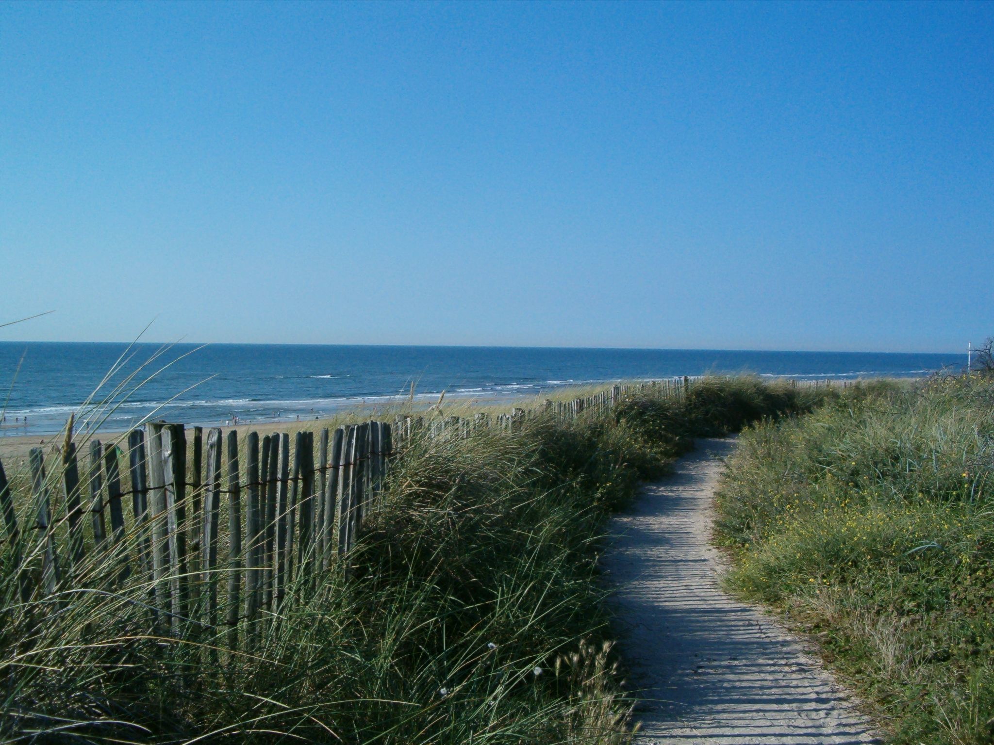 Sommerhaus Klein Wimmenum, Nähe Strand und Dünen-Draußen