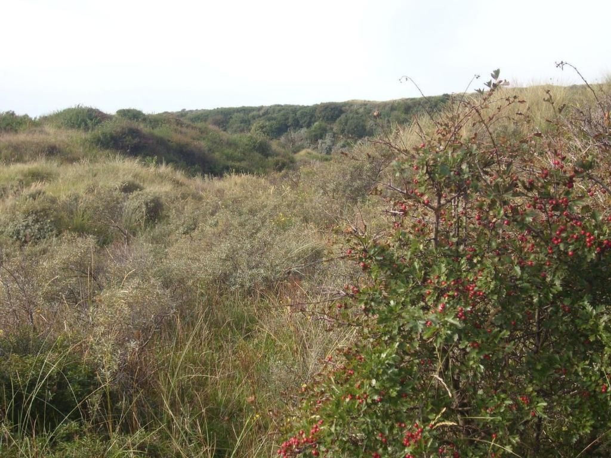 Strandhaus direkt am Meer-Binnen