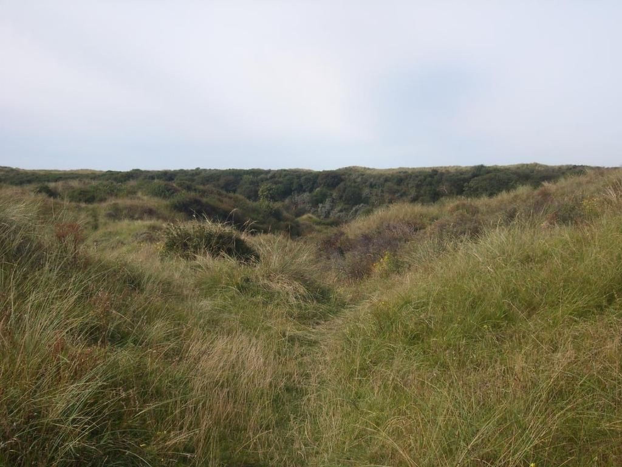 Strandhaus direkt am Meer-Binnen