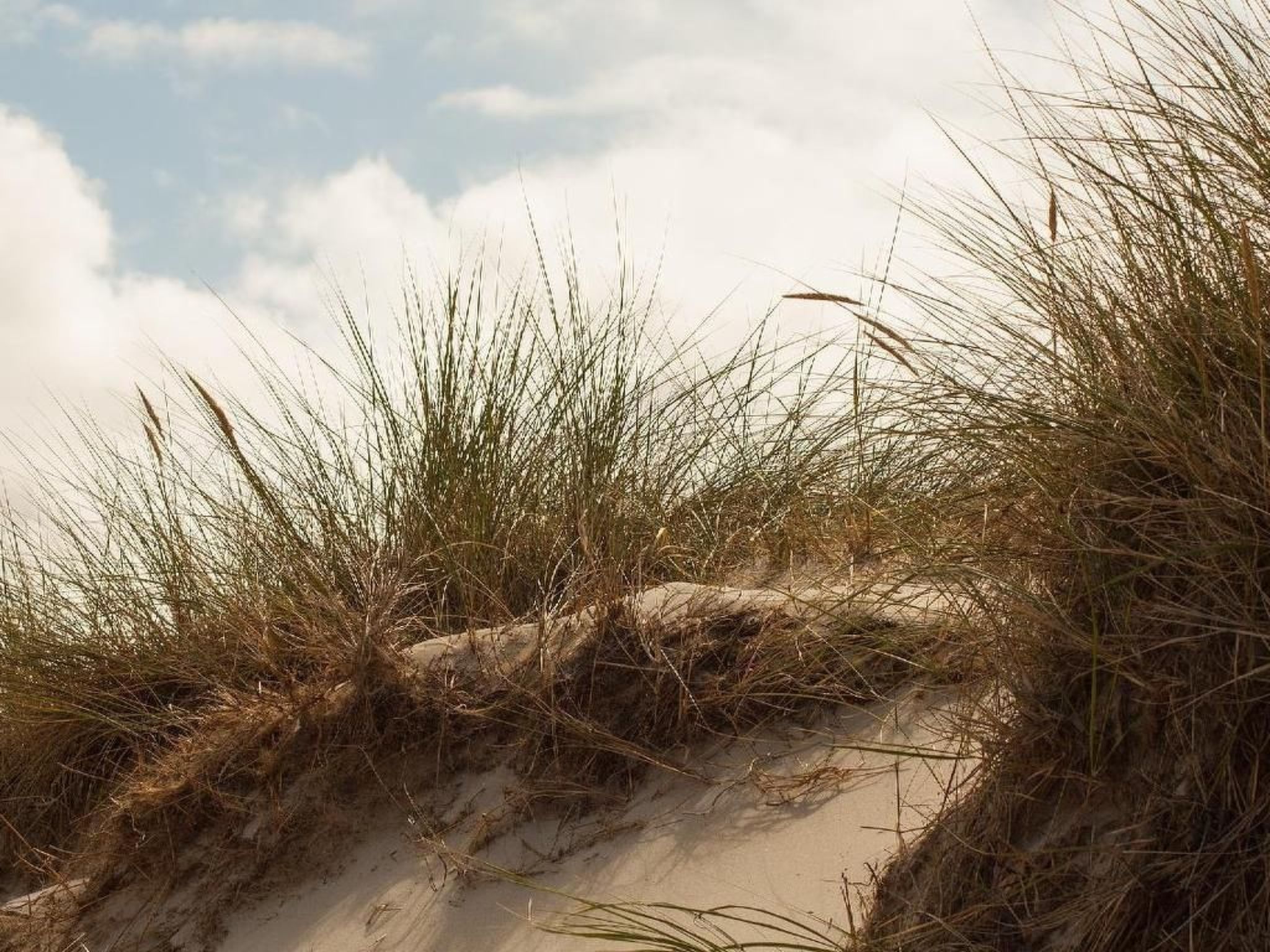 Strandhaus direkt am Meer-Binnen