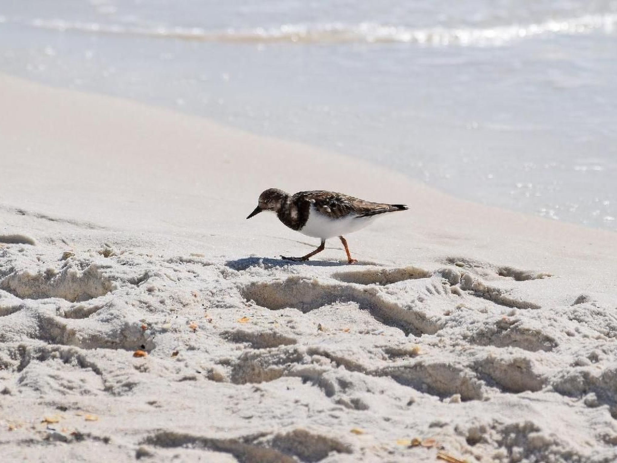Strandhaus direkt am Meer-Binnen