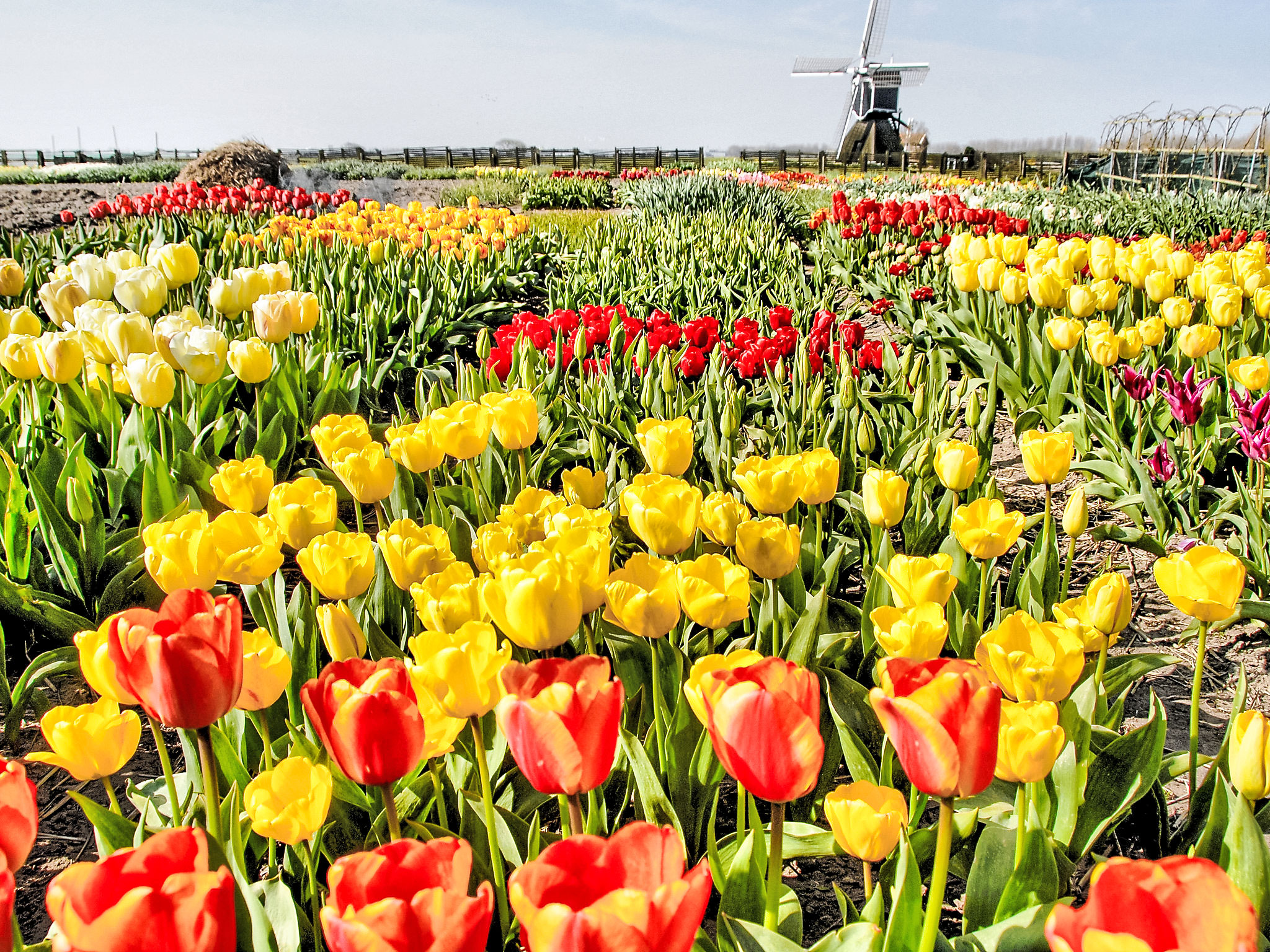 Holiday Rental Accommodation