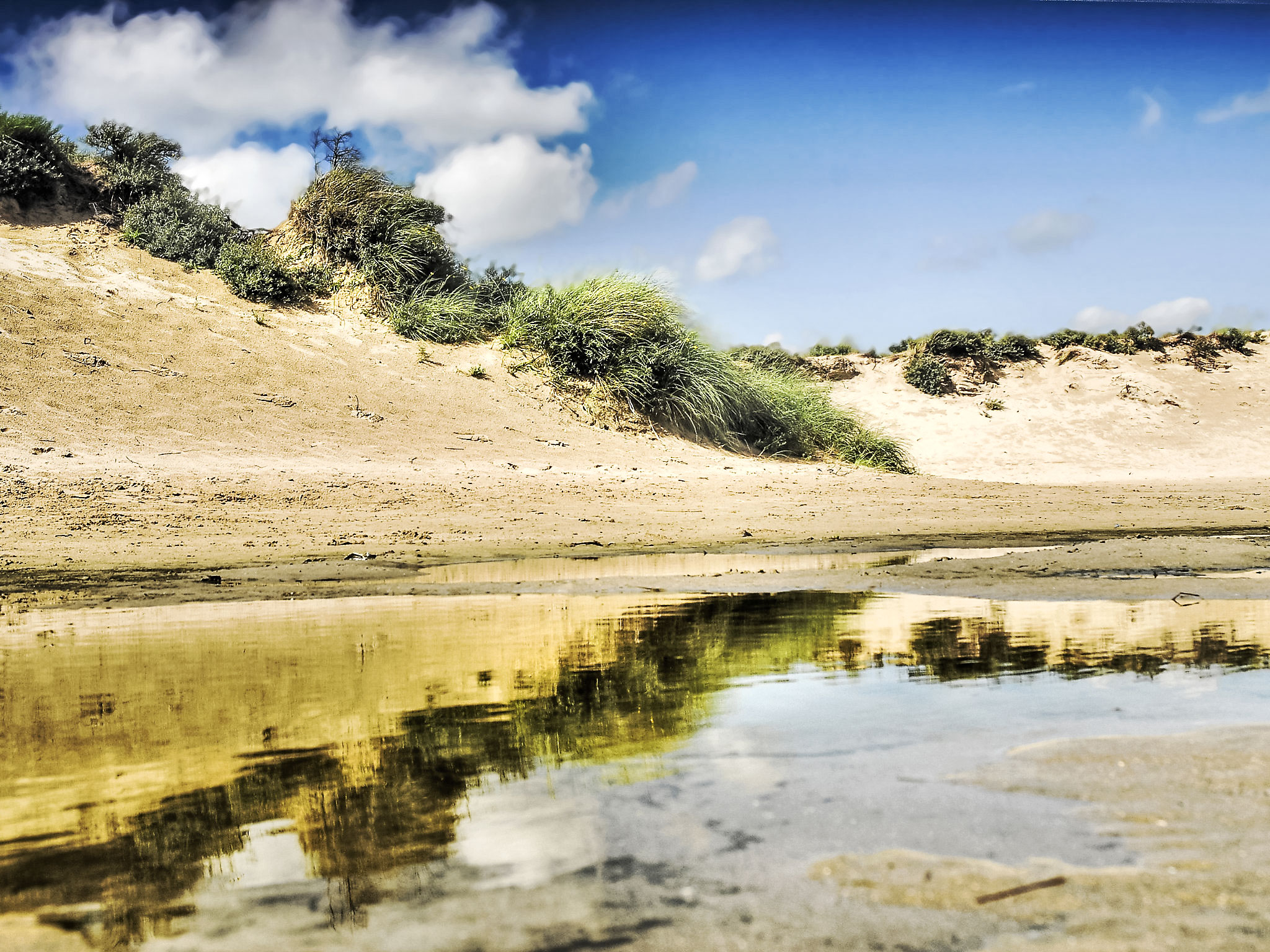 Holiday Rental Accommodation