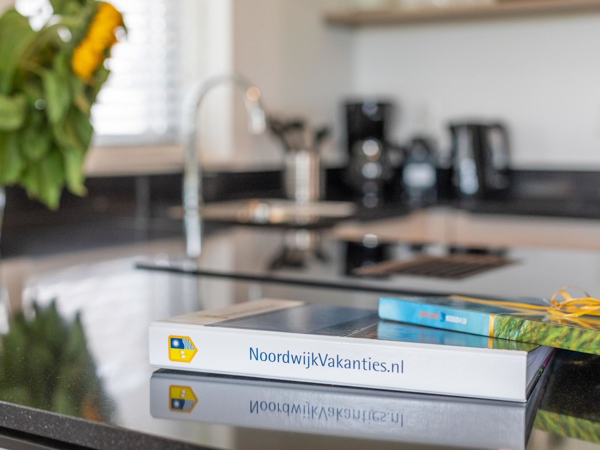 Holiday Rental Accommodation