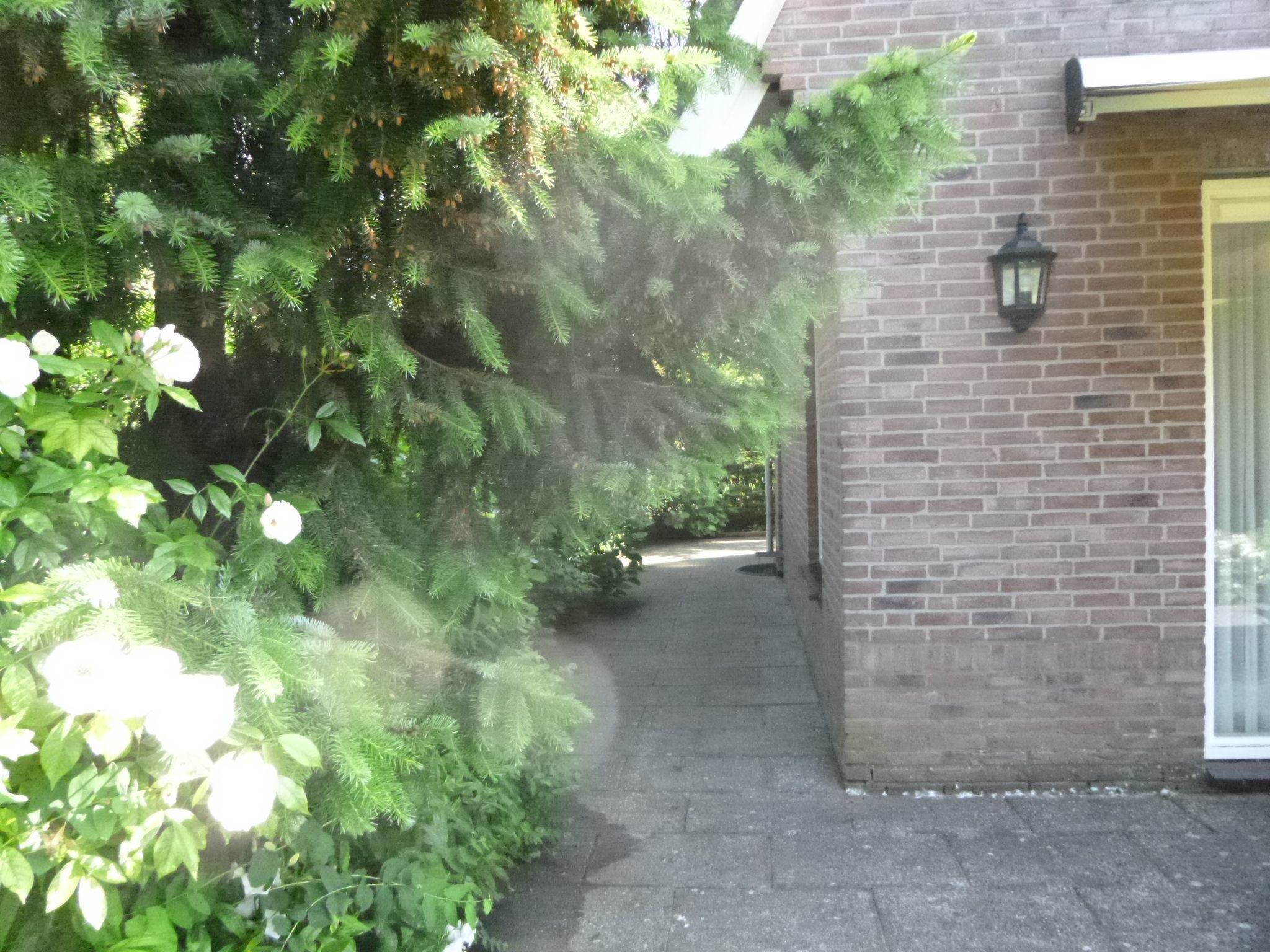 Mit privatem Garten und Terrasse-Binnen