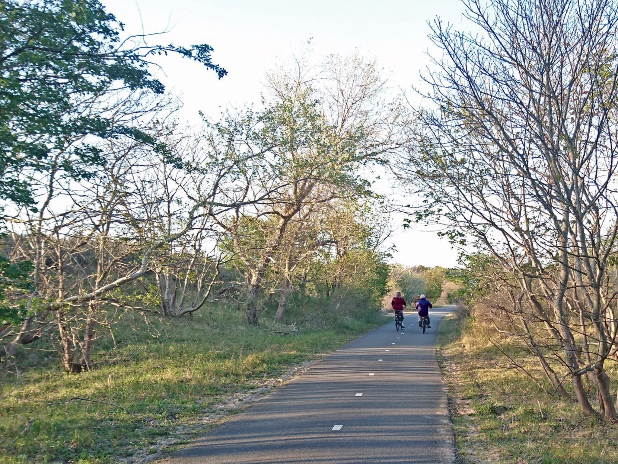 Leuchtturm-Image-tags.info