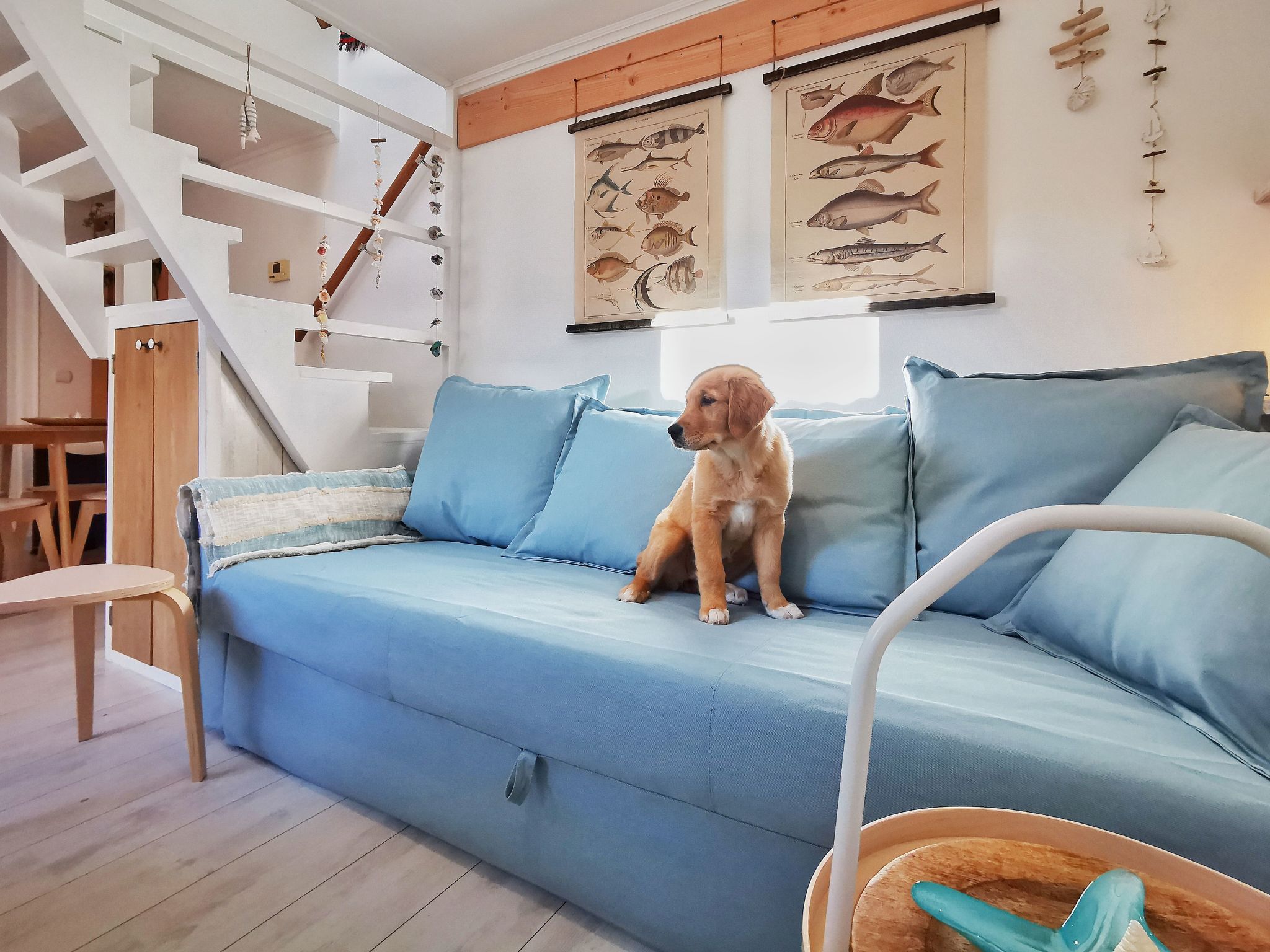Kompaktes modernes Ferienhaus 120 Meter vom Meer entfernt