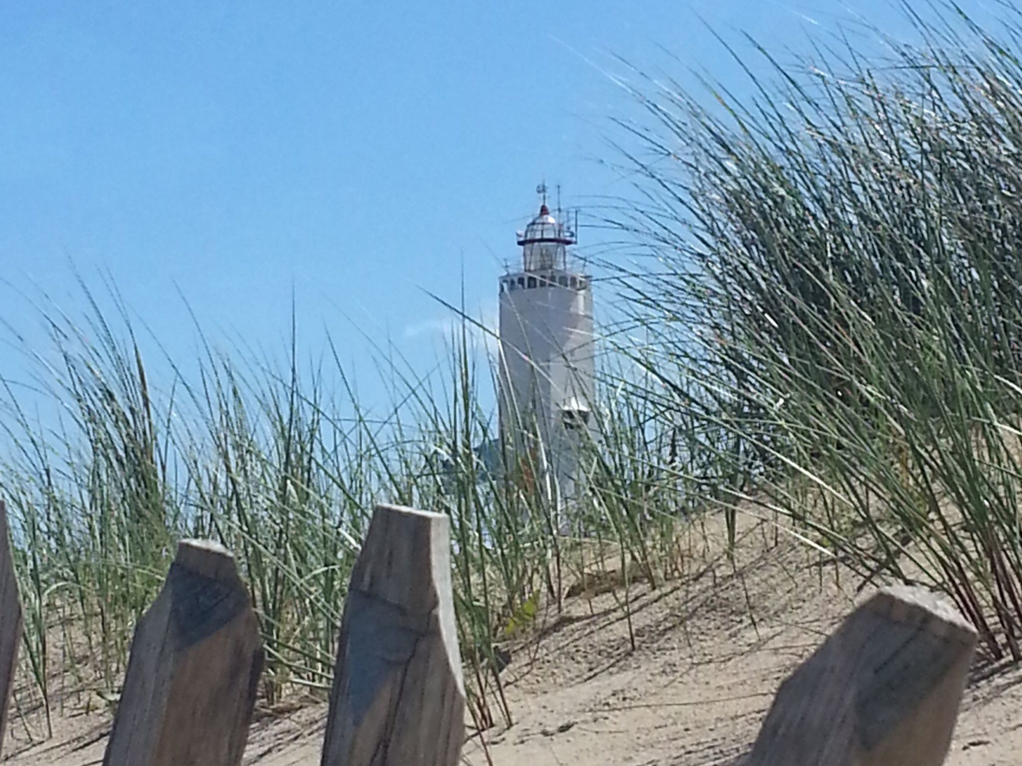 Albatros - Buiten
