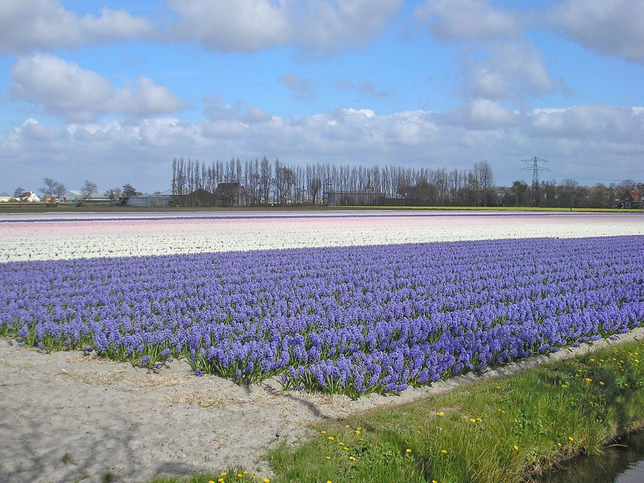 Mittagssonne - Buiten