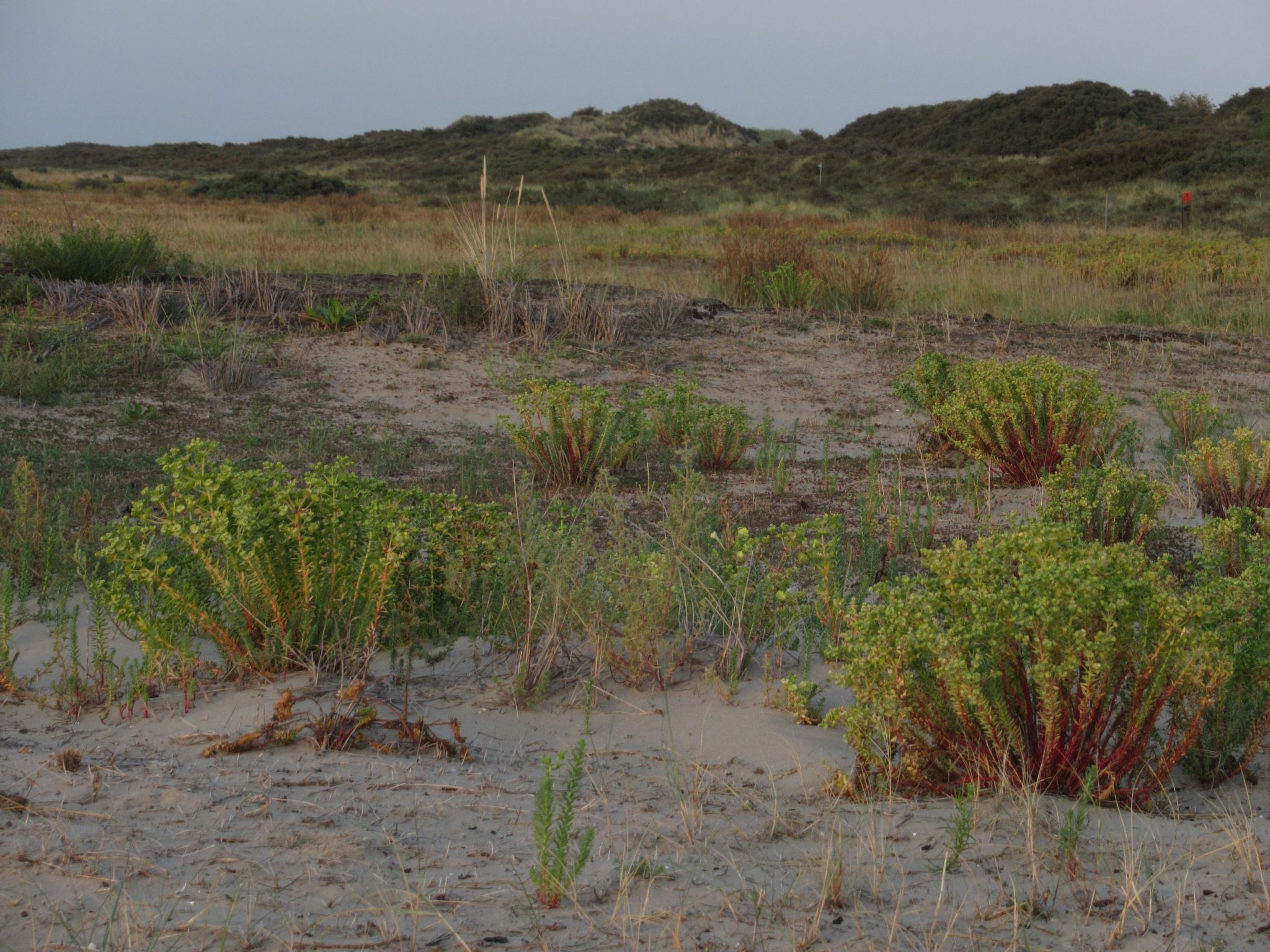 Gemütliches Mobilheim mit 3 Schlafzimmern-Image-tags.info