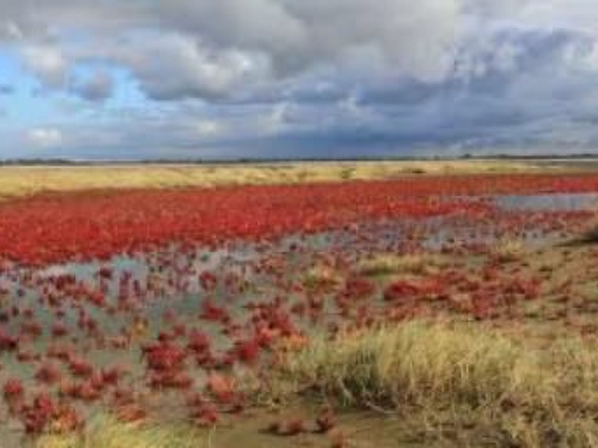 Gemütliches Mobilheim mit 3 Schlafzimmern-Image-tags.info