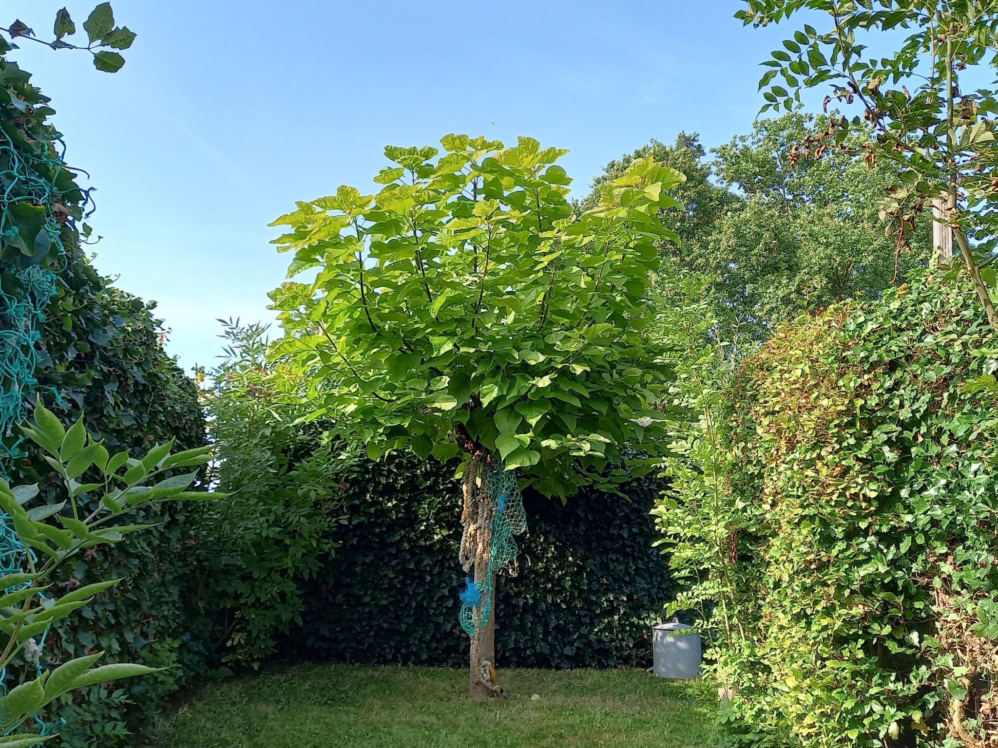 Gemütliches Mobilheim mit 3 Schlafzimmern-Image-tags.info