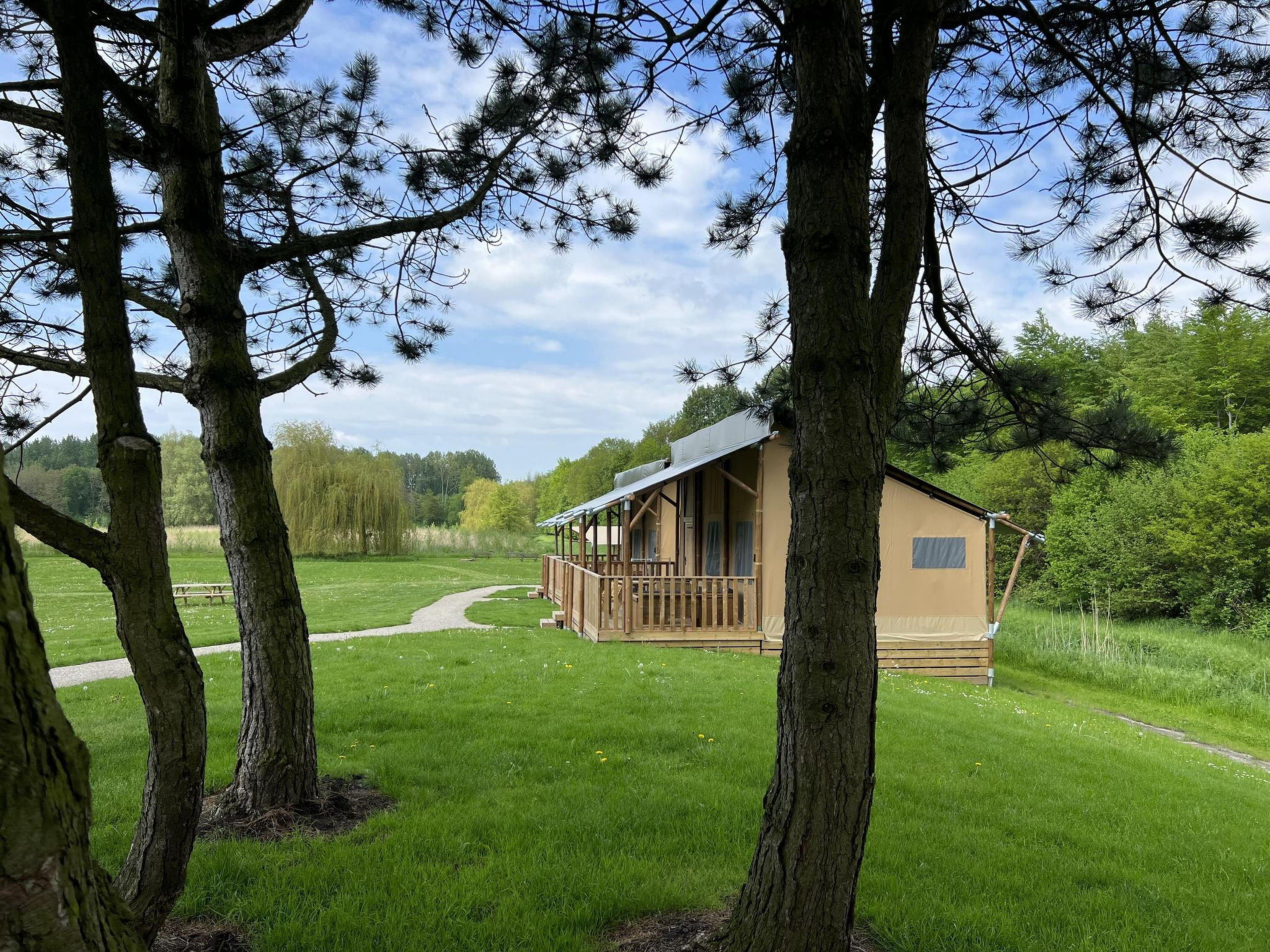 De Glamping - Sunny Lodge | 6p - Drinnen