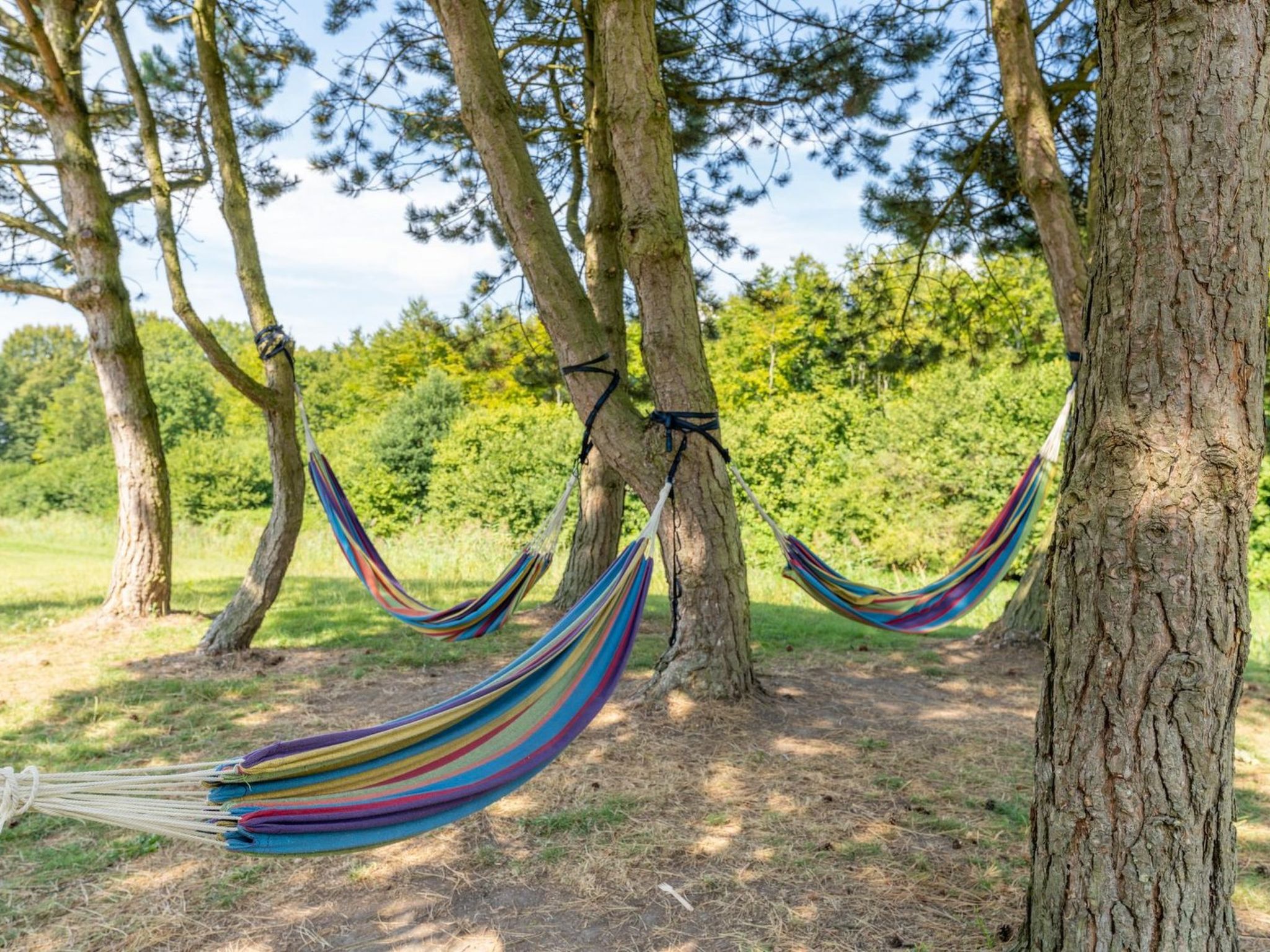 De Glamping - Glamping Lodge | 6p - Buiten