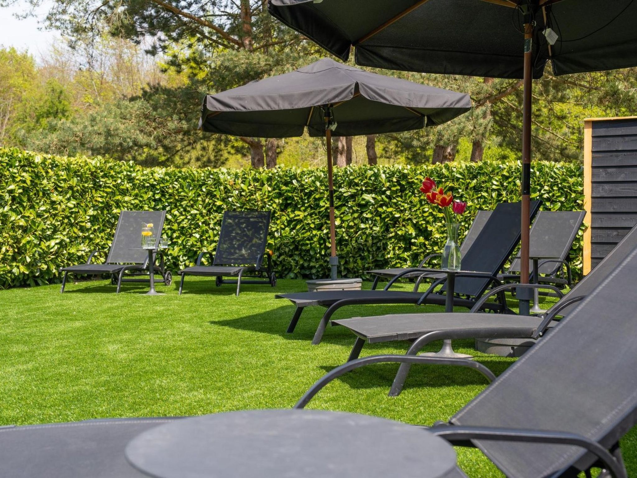 De Glamping - Glamping Lodge | 6p - Buiten