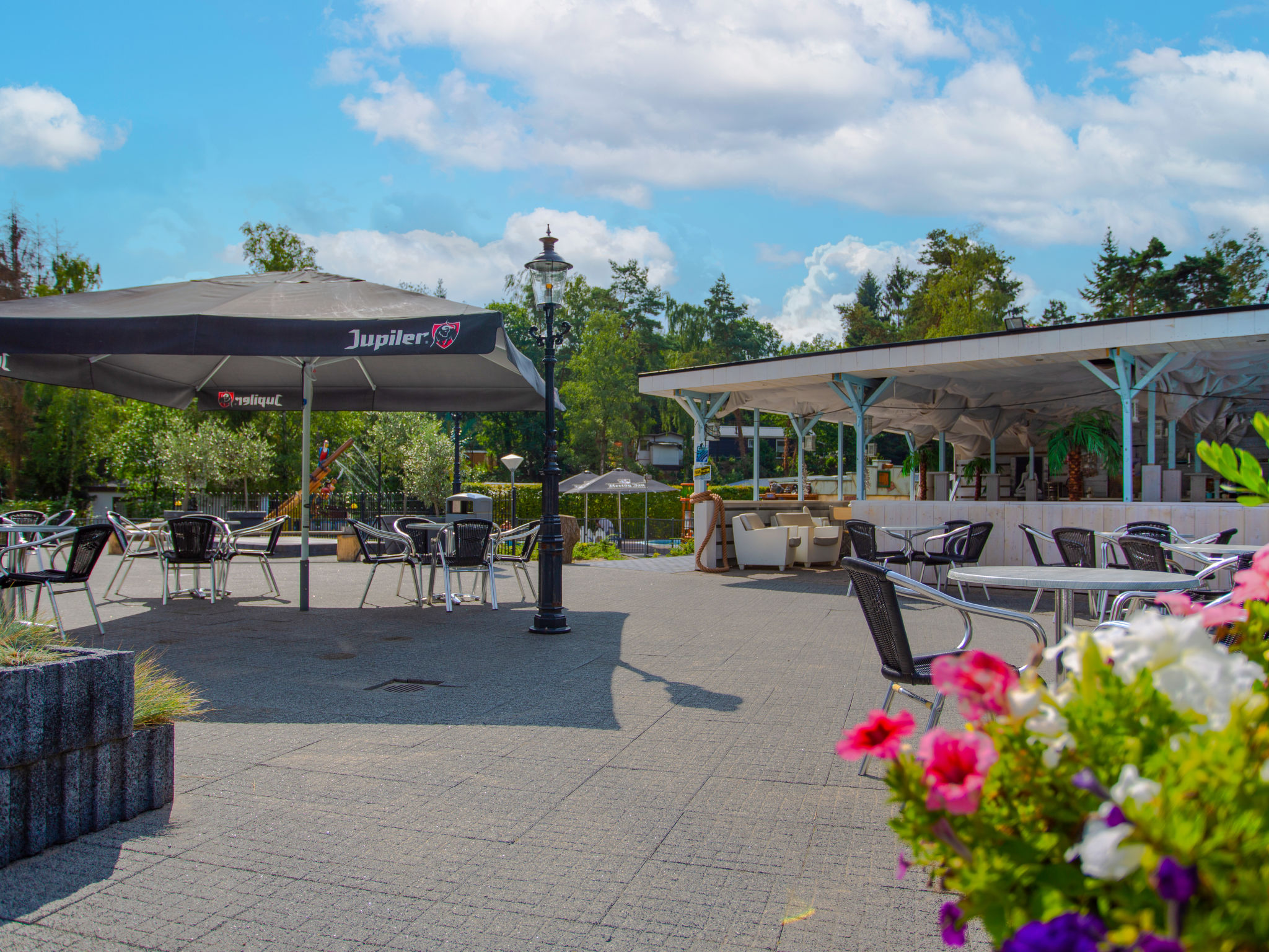 De Thijmse Berg — Pool Outdoor (3 of 26)