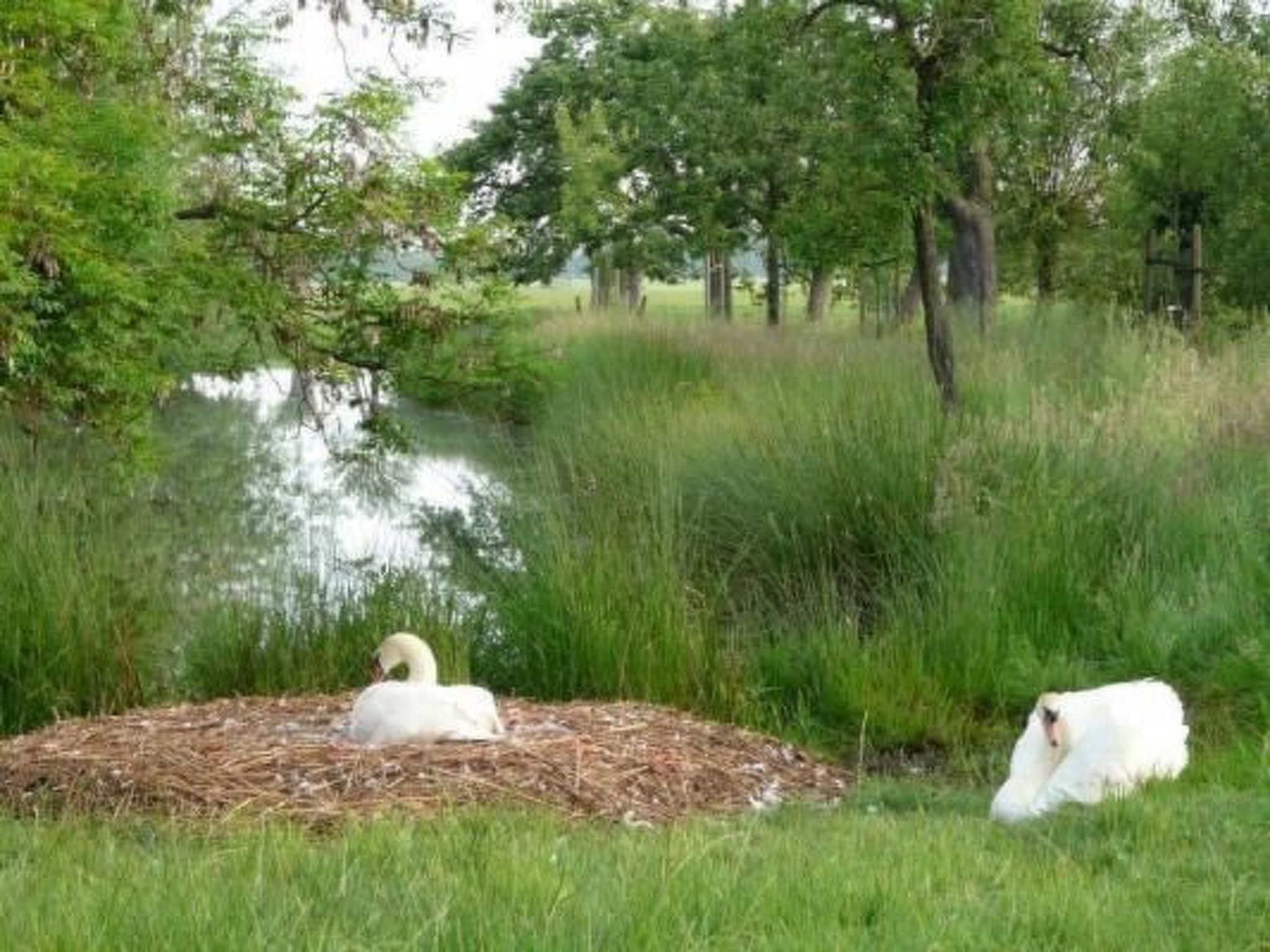 Wohnung auf dem Bauernhof-Image-tags.info