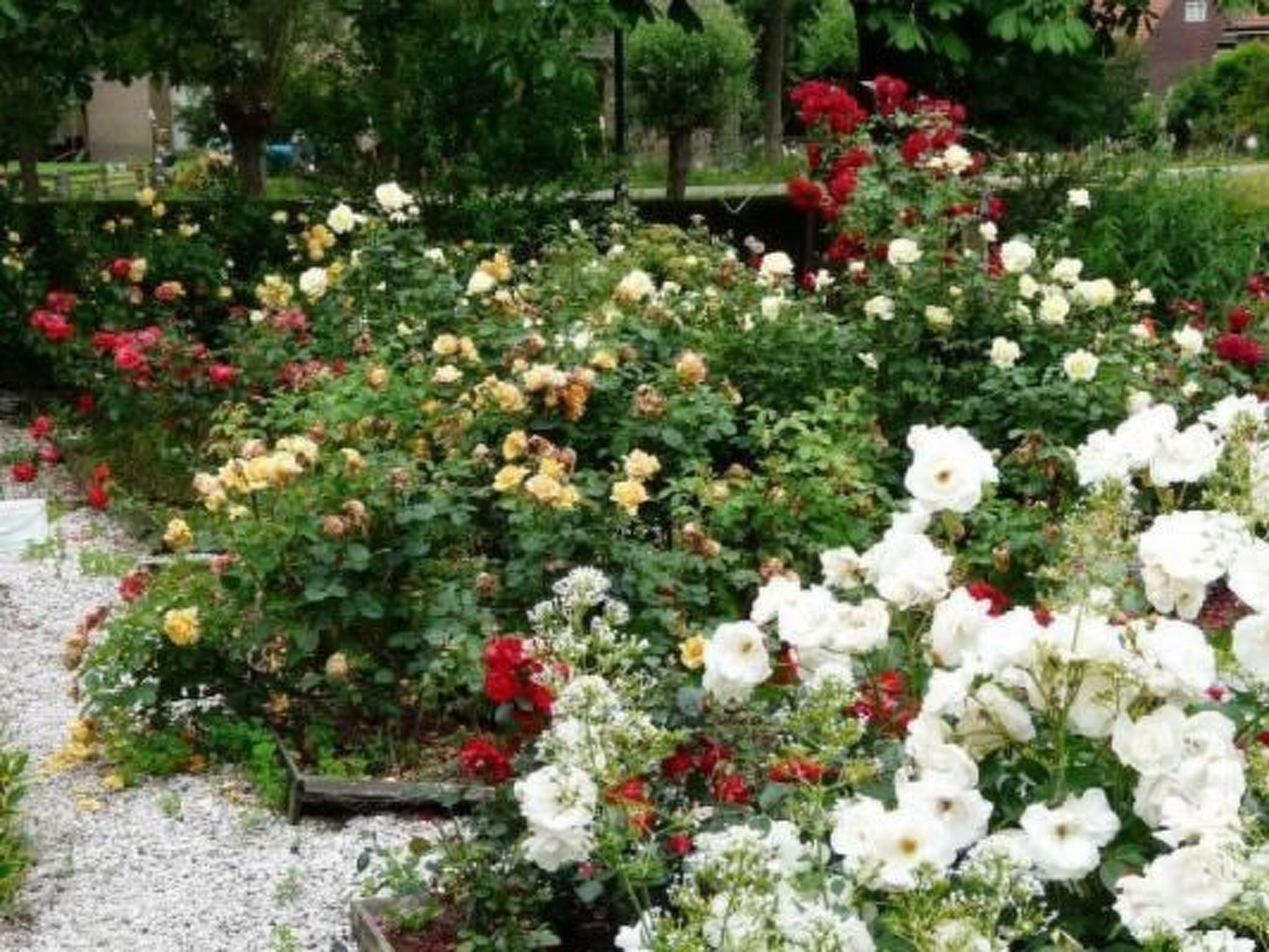 Wohnung auf dem Bauernhof-Dehors