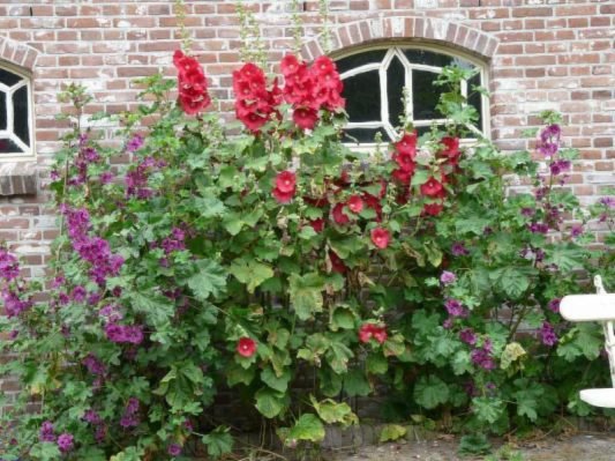 Wohnung auf dem Bauernhof-Dehors