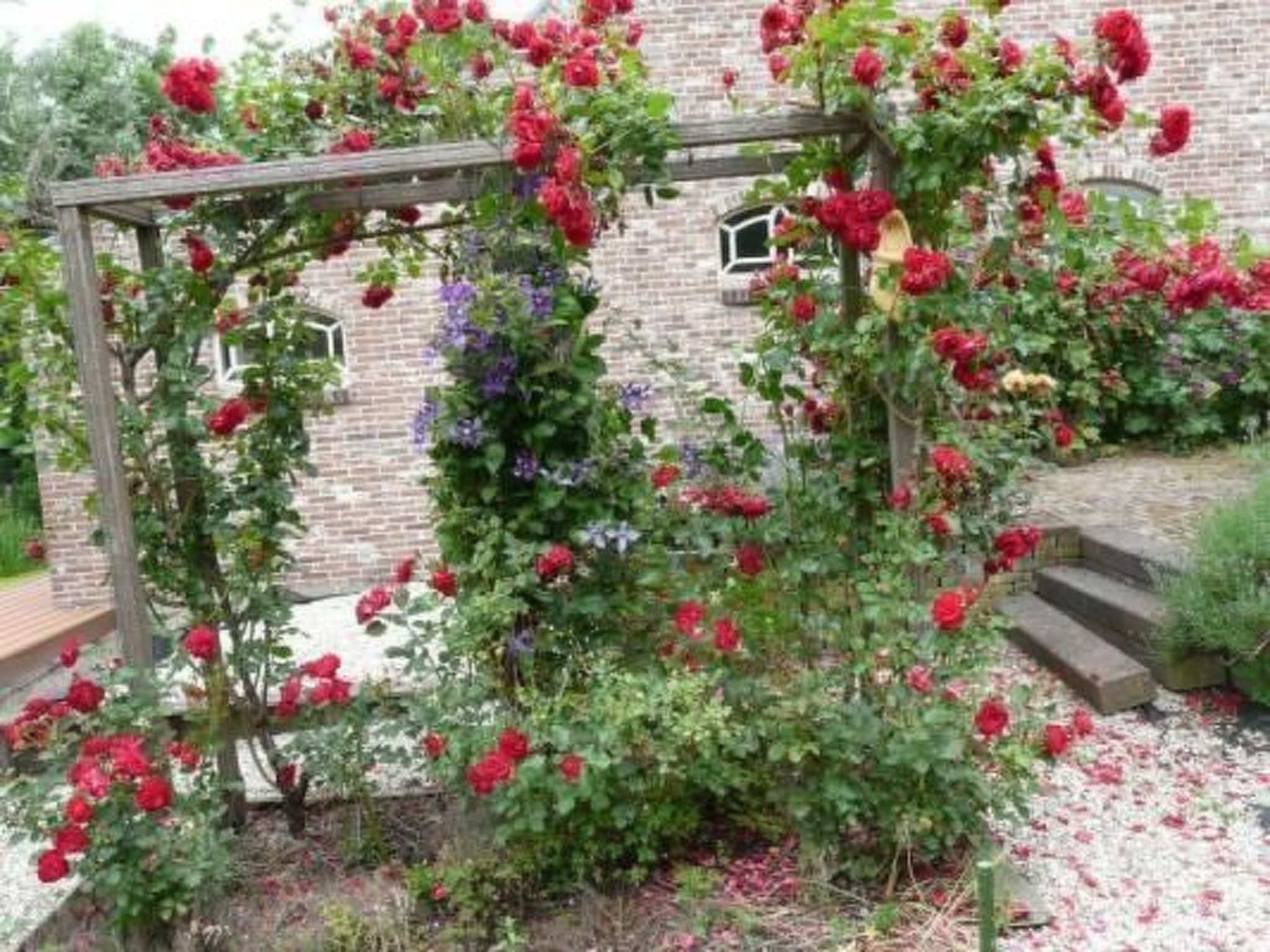 Wohnung auf dem Bauernhof-Dehors