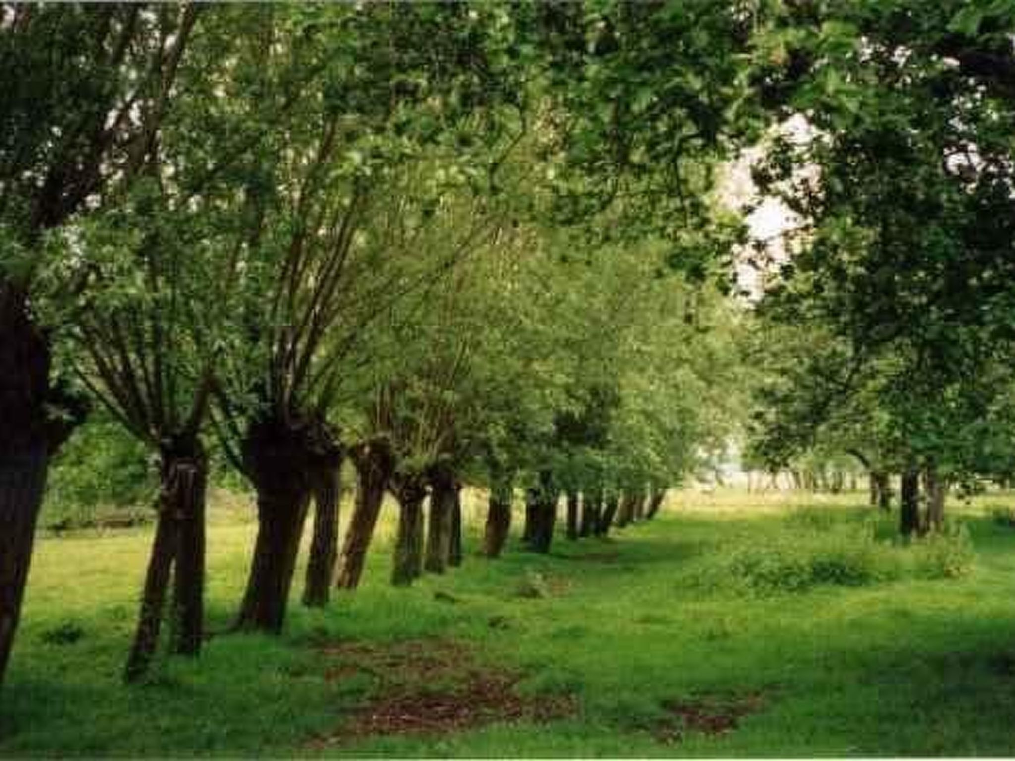Wohnung auf dem Bauernhof-Dehors