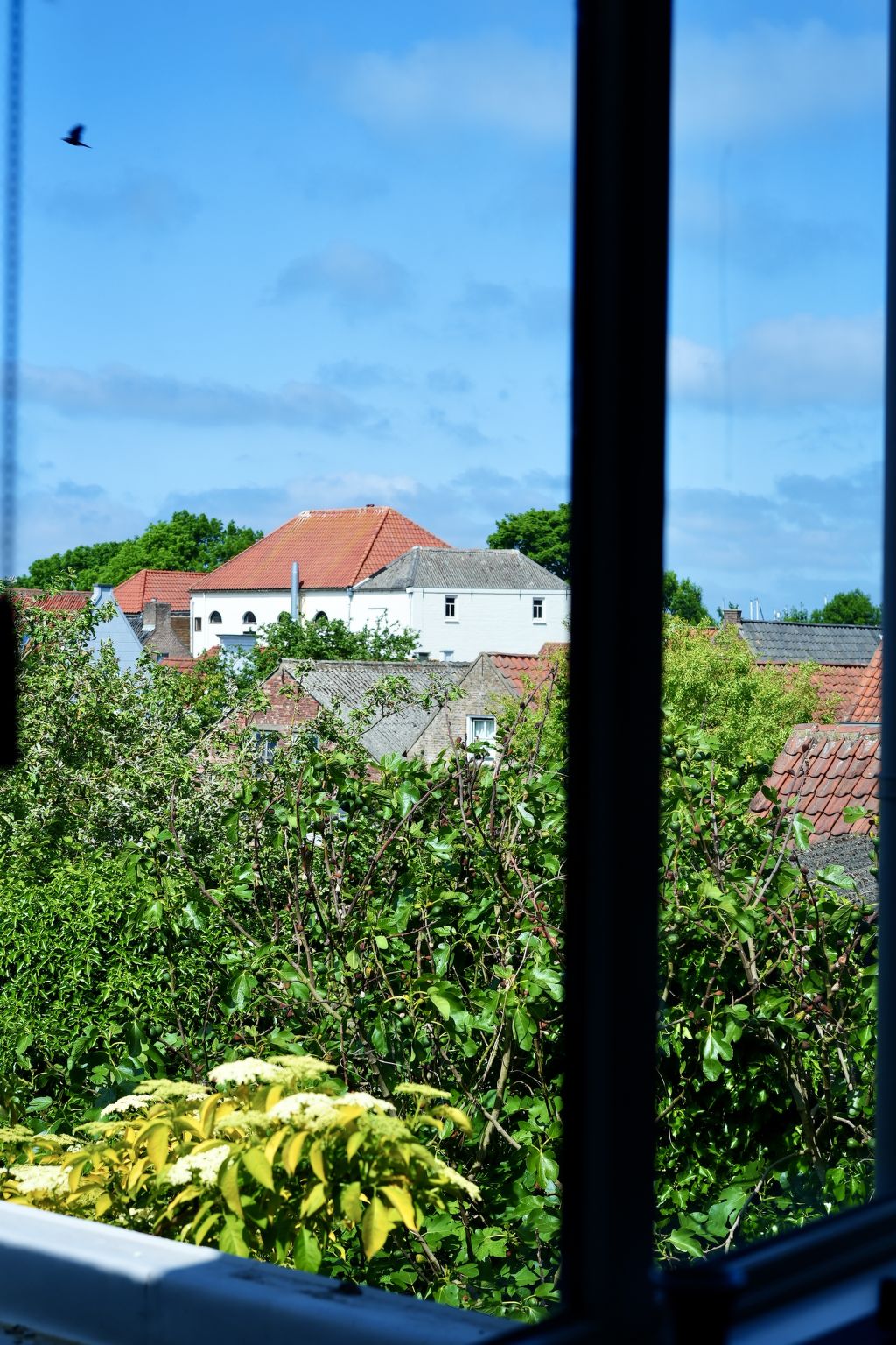 Zen Kitchen & Boutique Hotel-Draußen