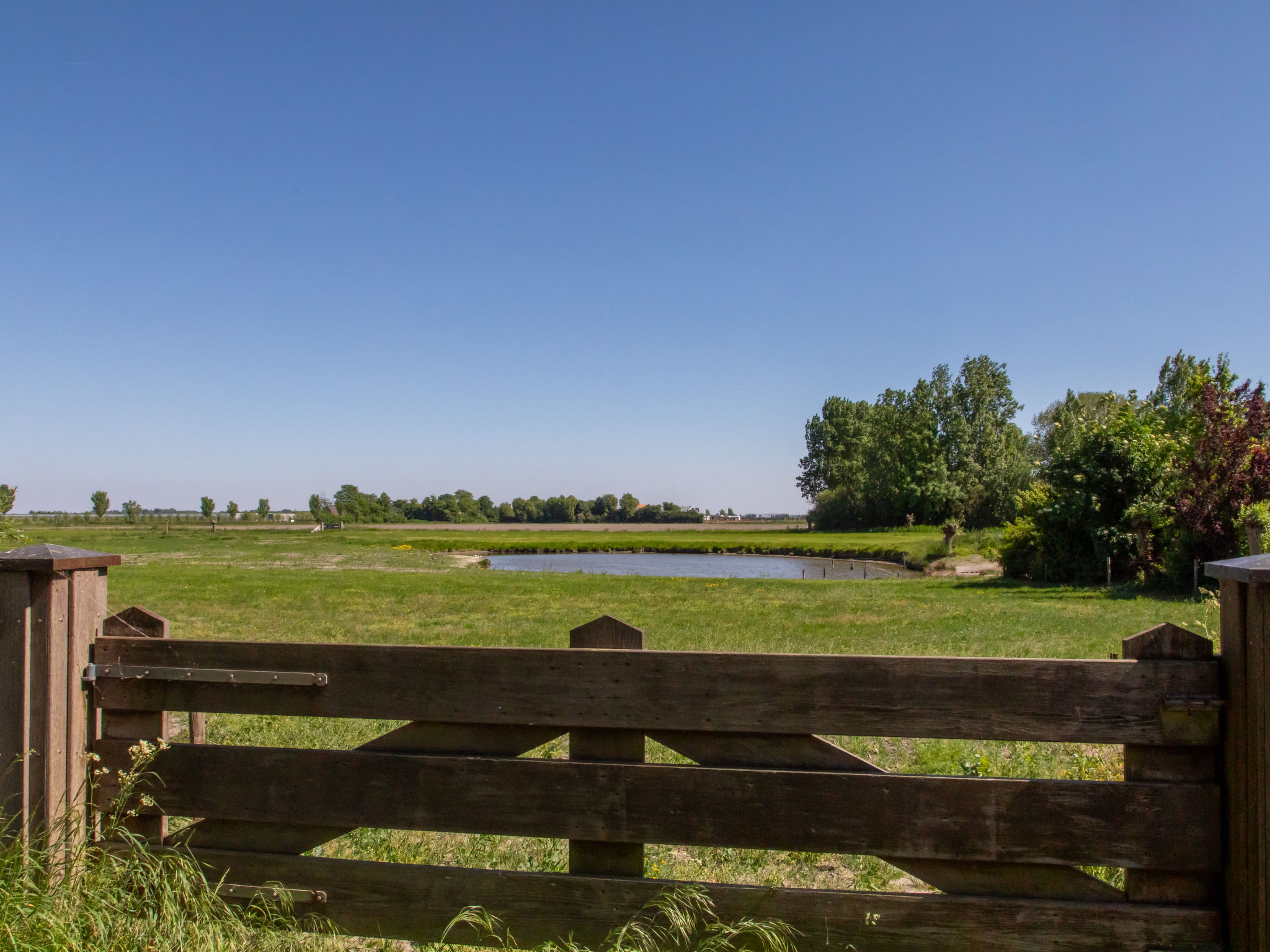 Tiny House Sunshine no 38-Buiten