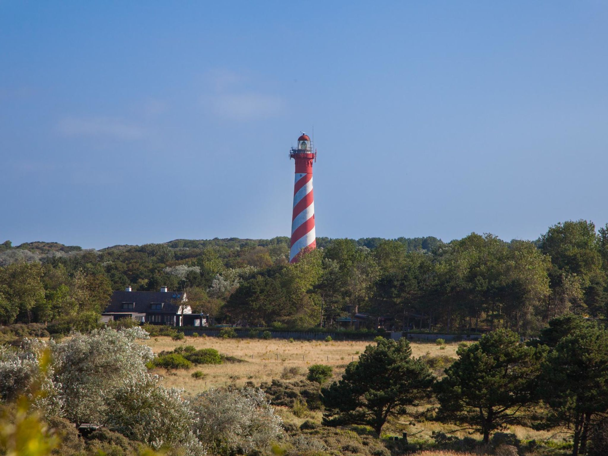 DuinZilver A - Buiten
