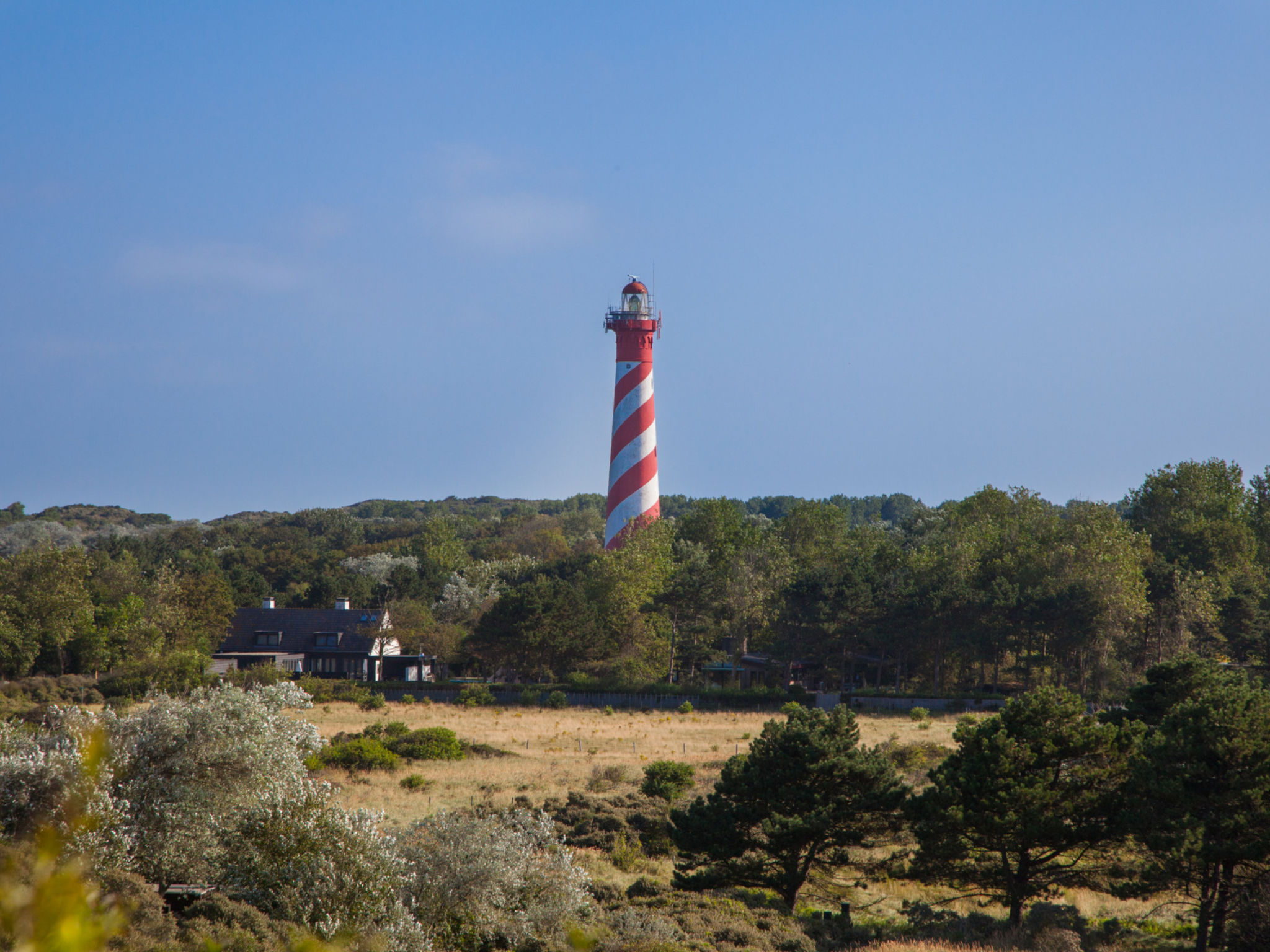 Duinzicht Renesse-Outside