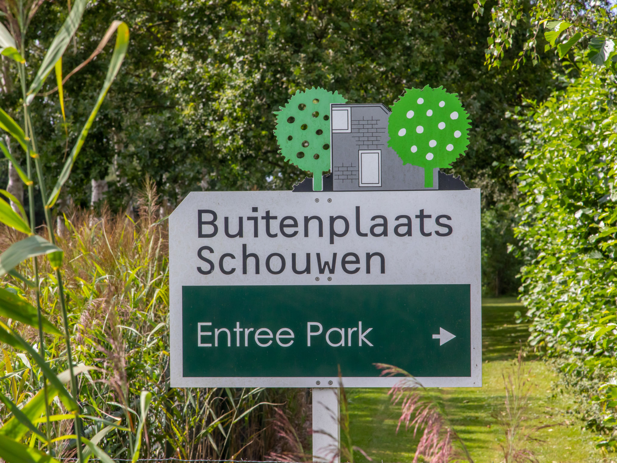 Zeenatuur - Buiten