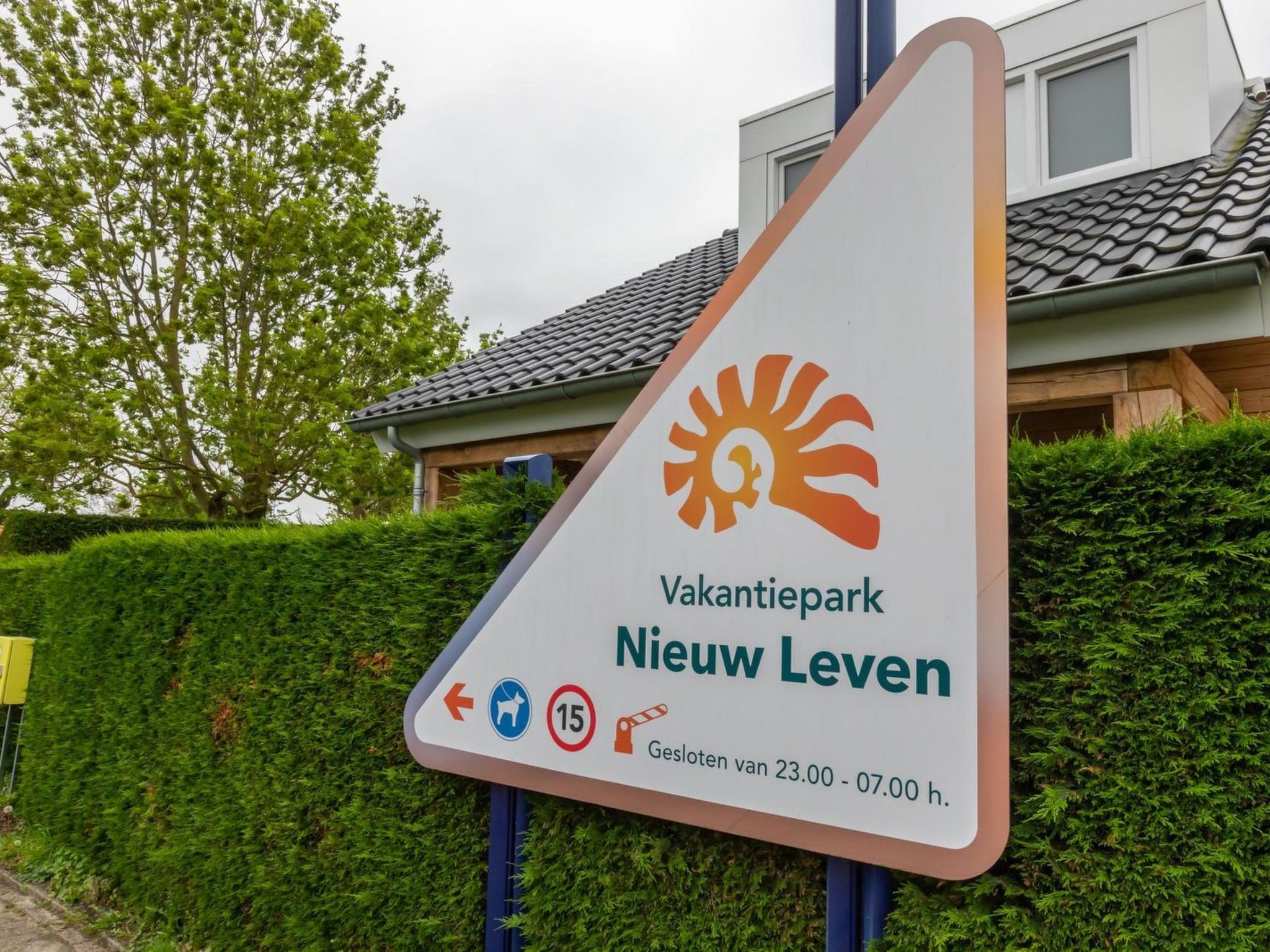 Zonenvlinder - Buiten