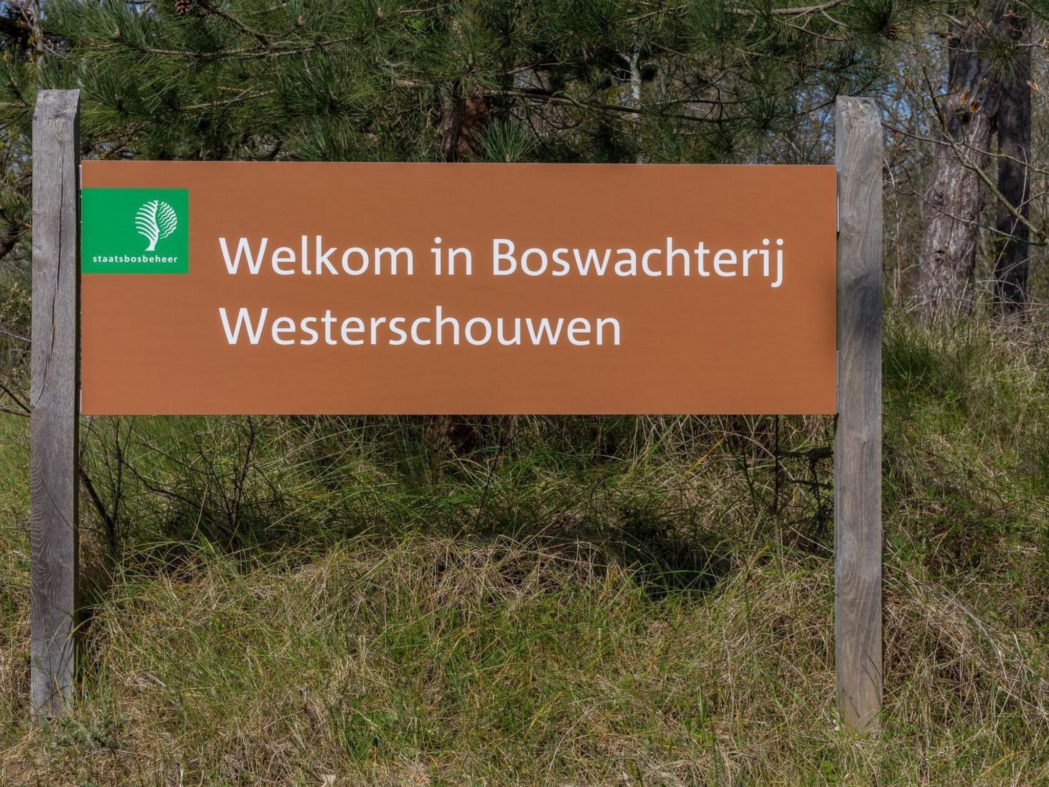 Zonenvlinder - Buiten