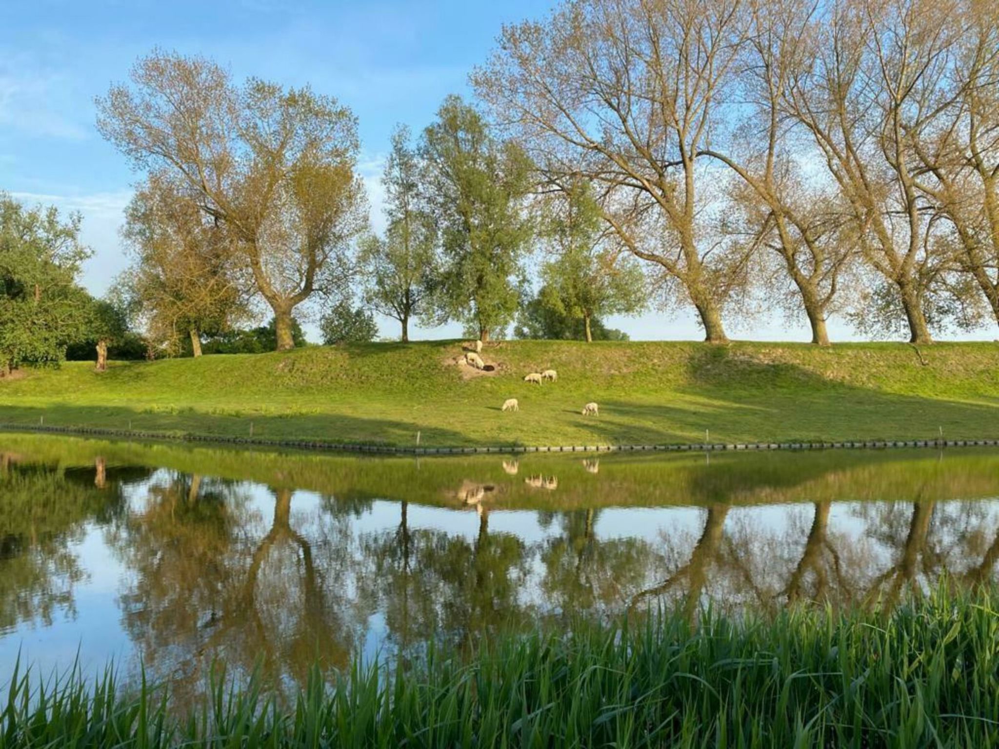 Nescio - Buiten