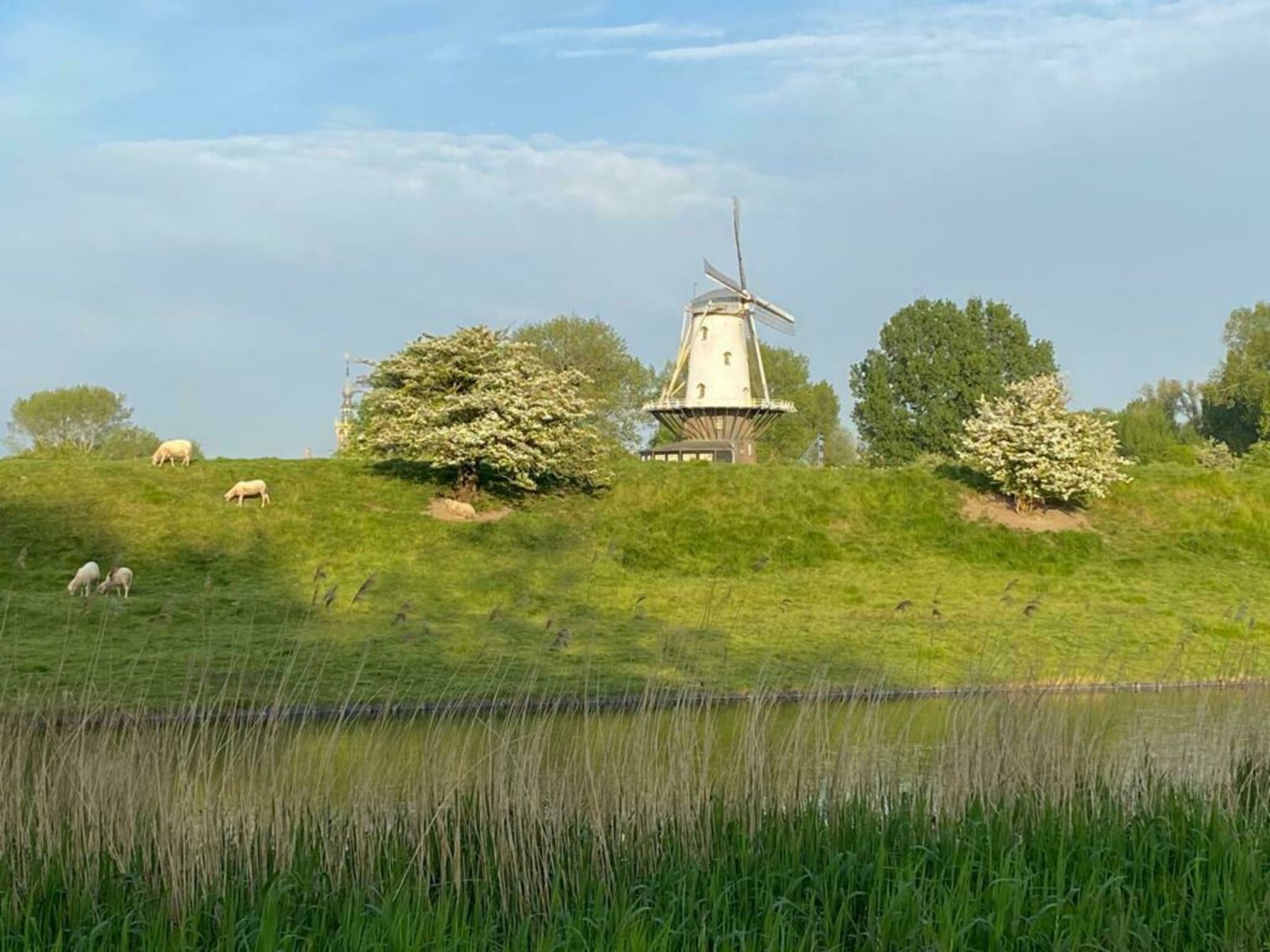 Nescio - Buiten
