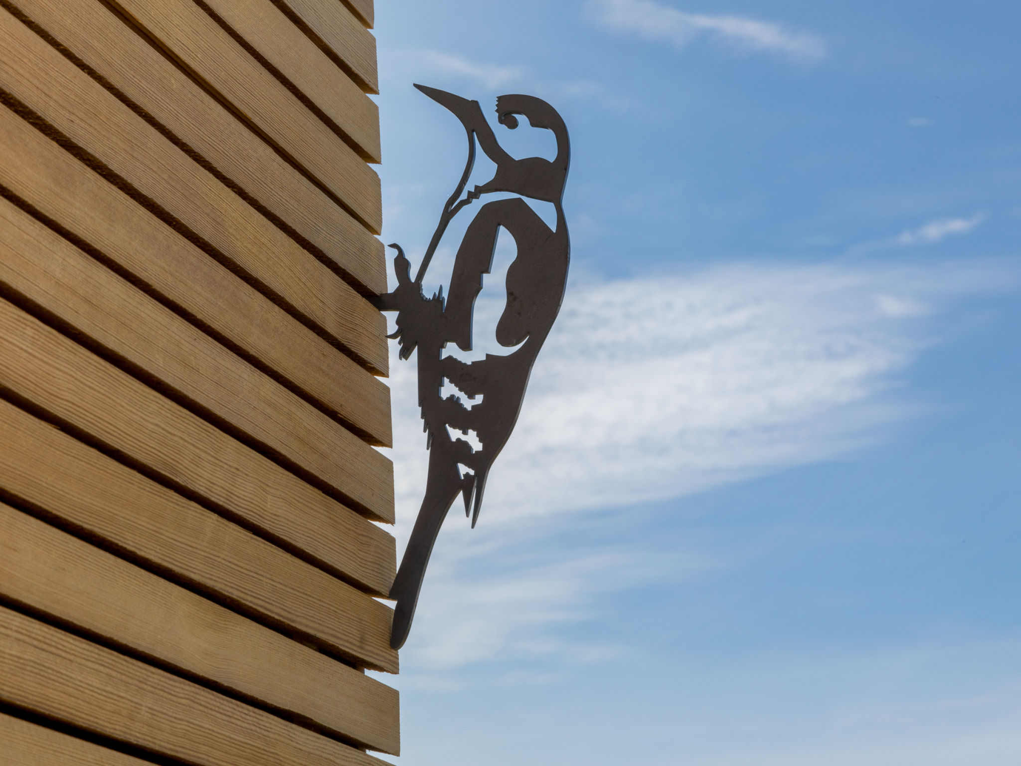 Tiny House Rustepolder - Buiten