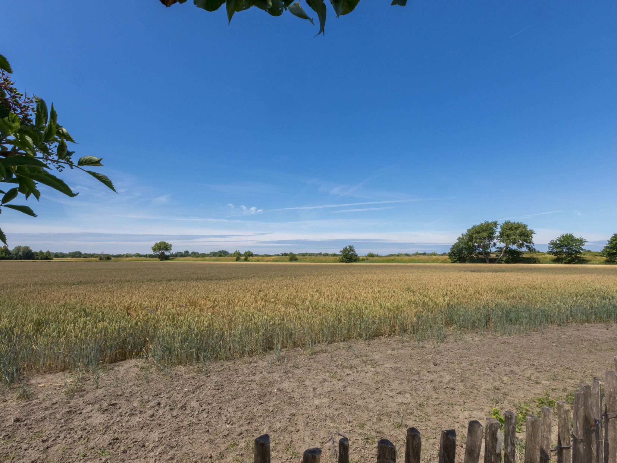 Tiny House Rustepolder - Buiten