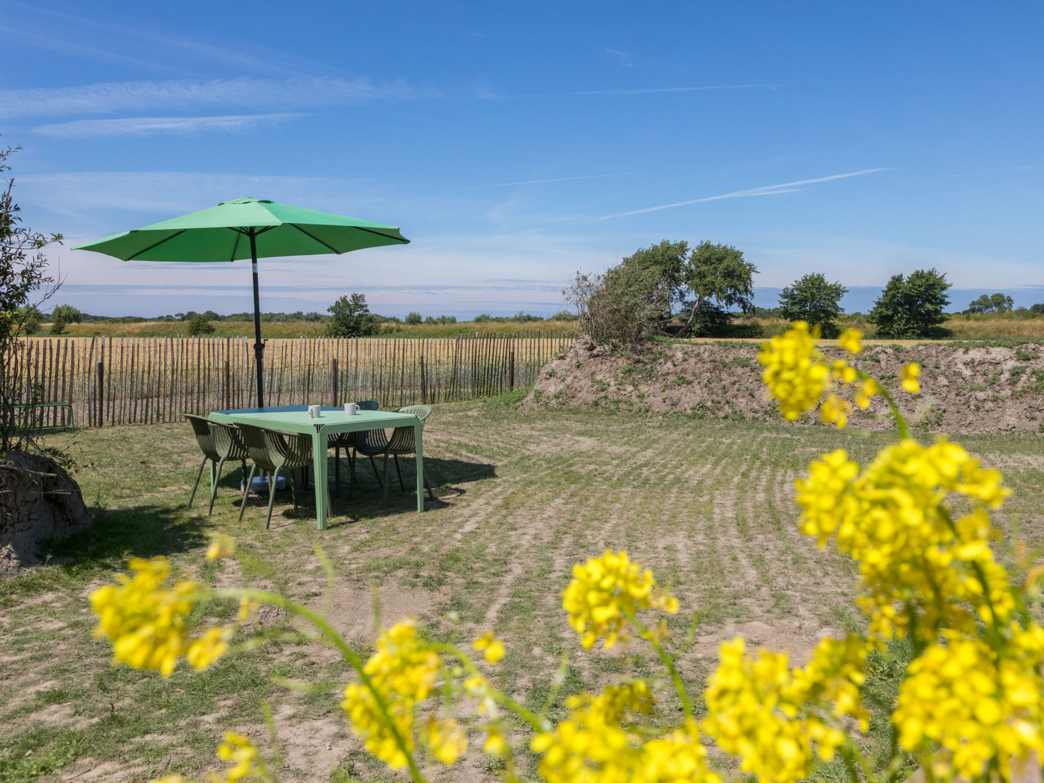 Tiny House Rustepolder - Buiten
