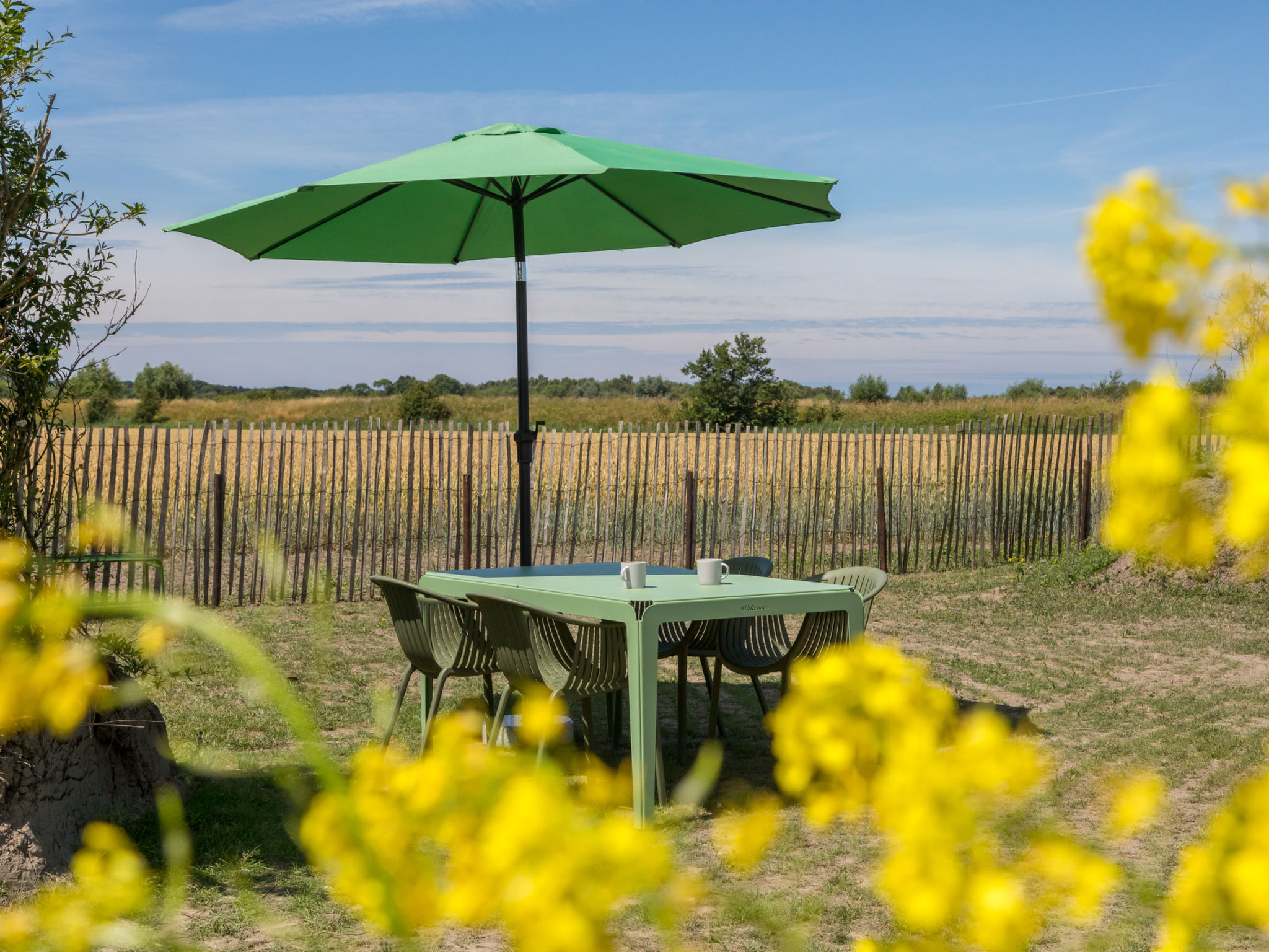 Tiny House Rustepolder - Buiten