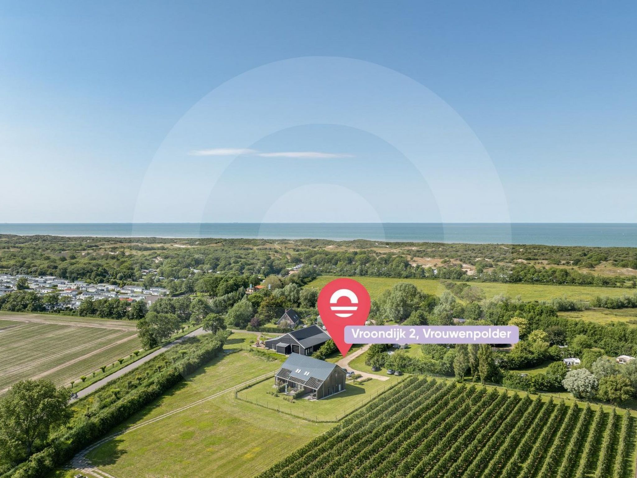 Zeebloesem
