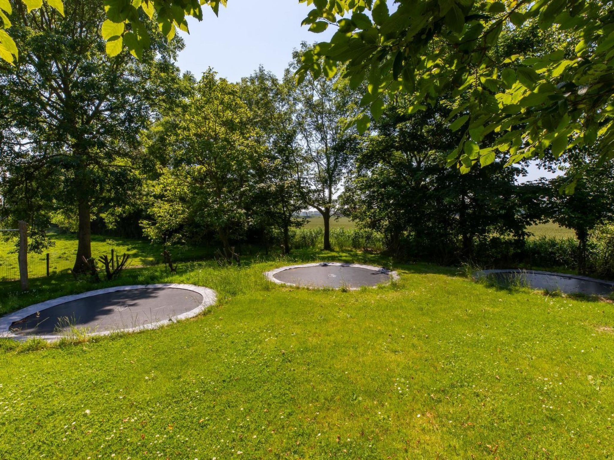 Studio Rustenpolder - Buiten