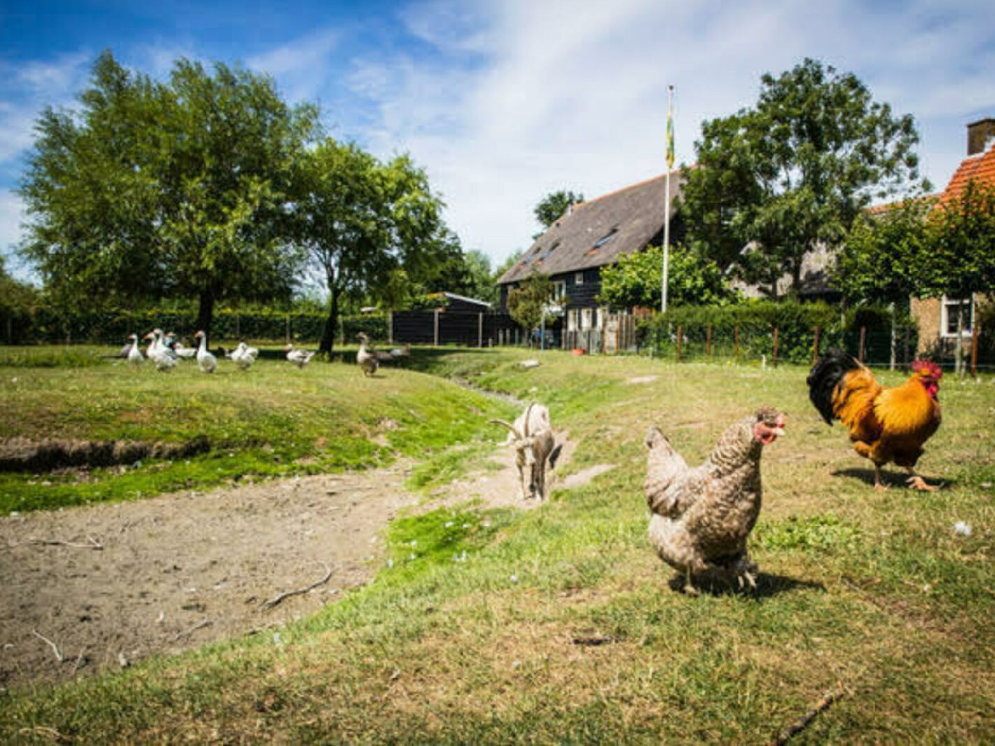 Oranjezon B - Buiten