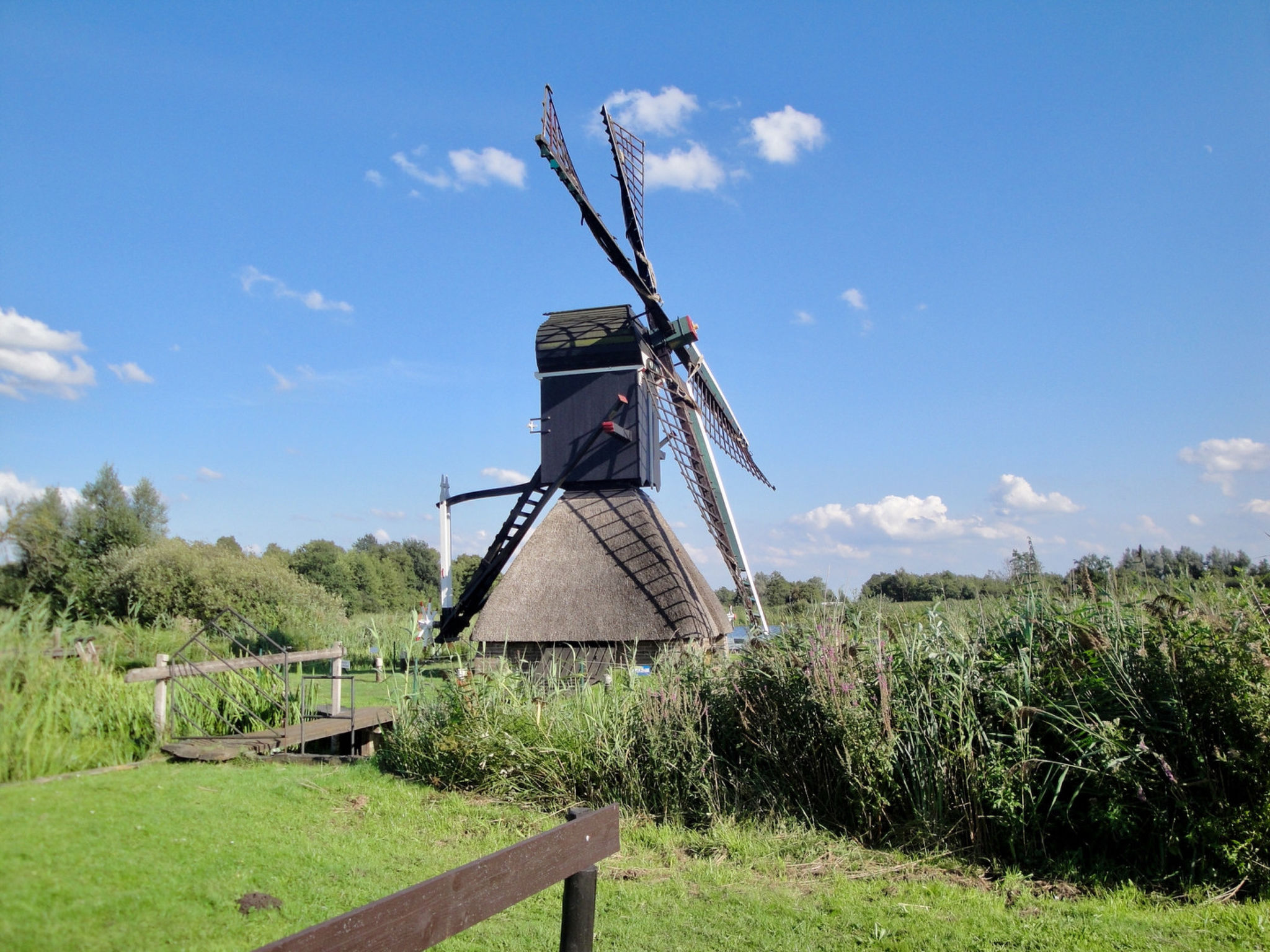 ZP 508 - Camping de Zandput - Buiten