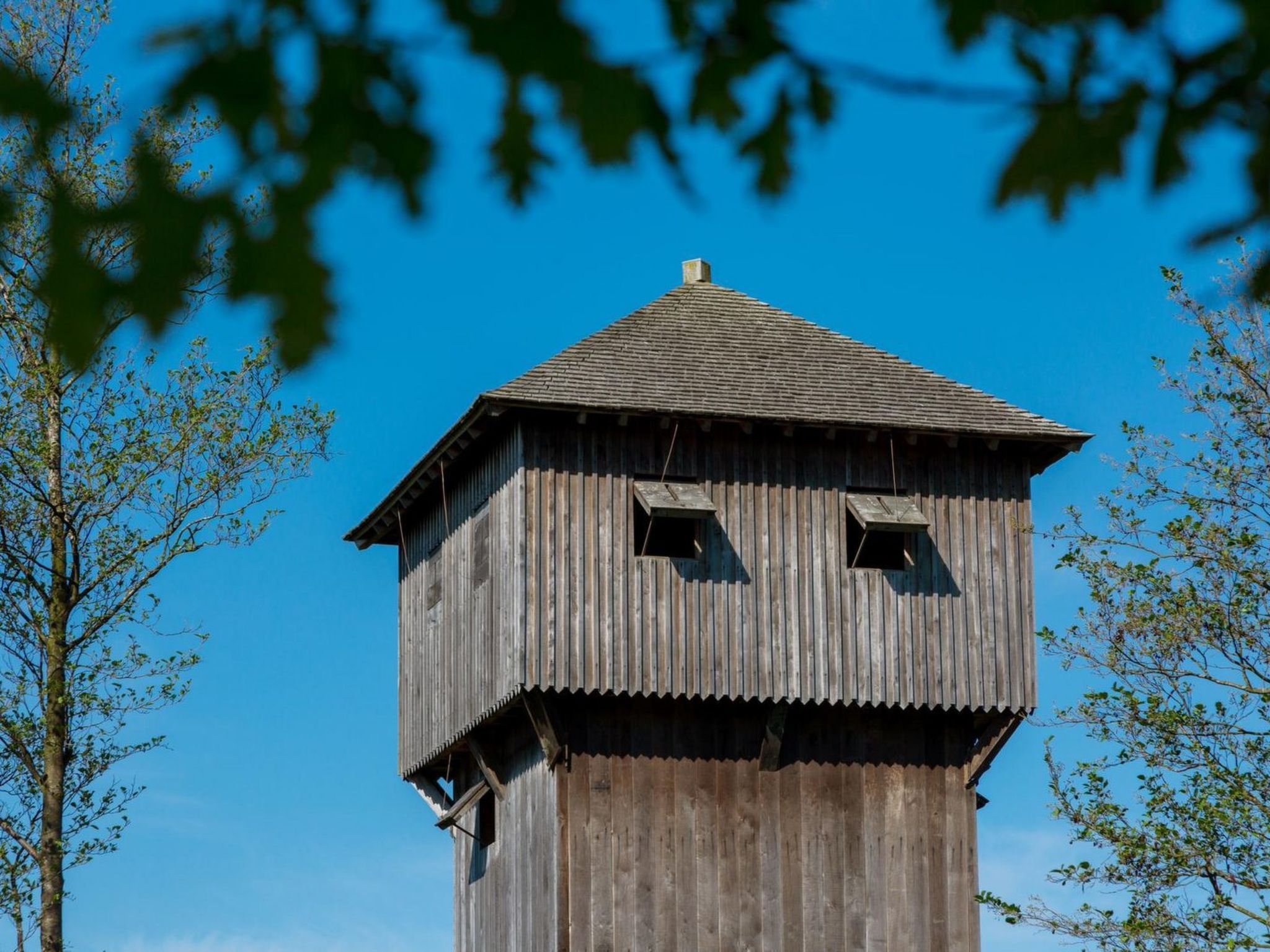Duinpanorama - Buiten