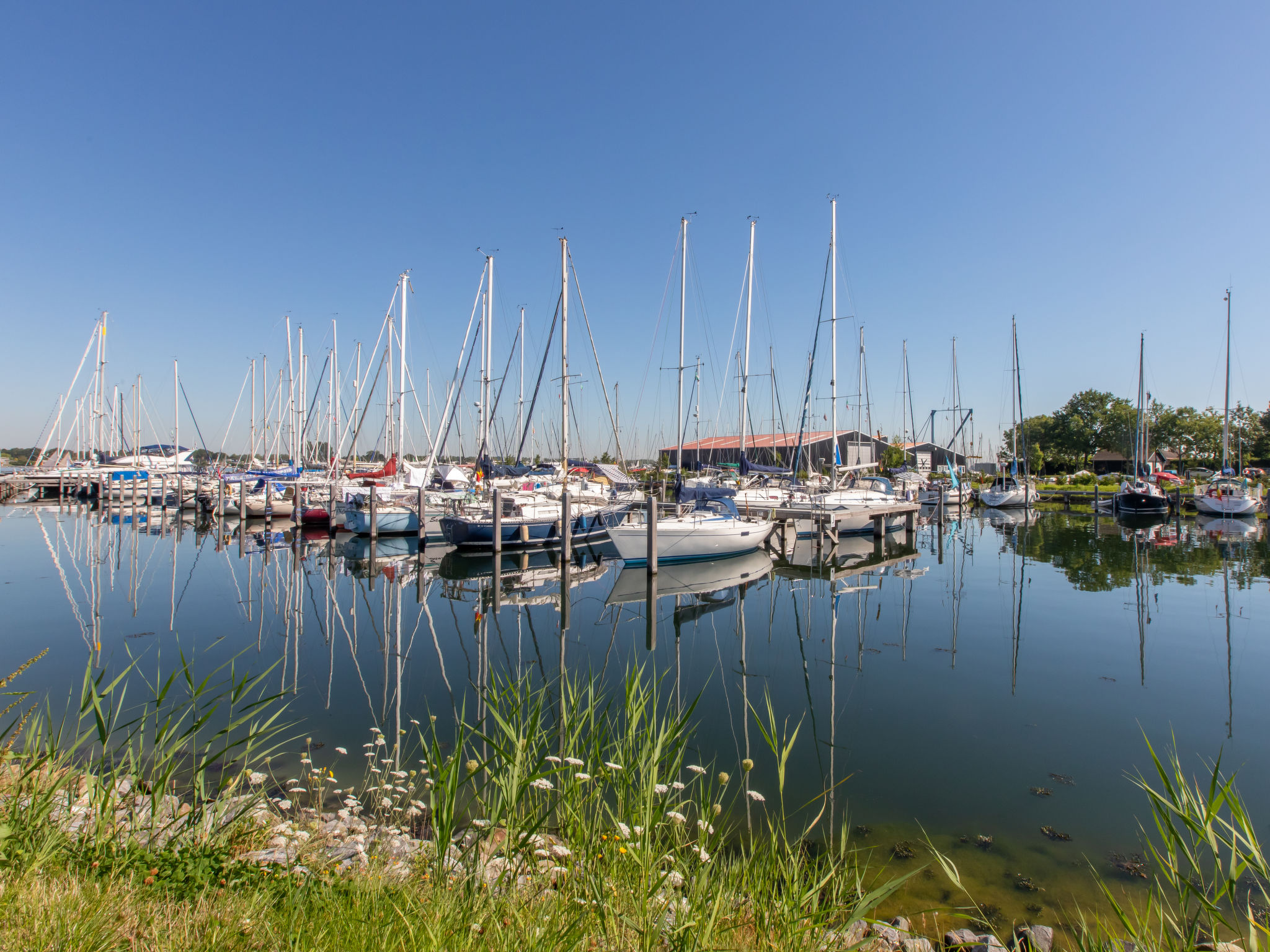 Beach House Westkapelle 103B-Dehors