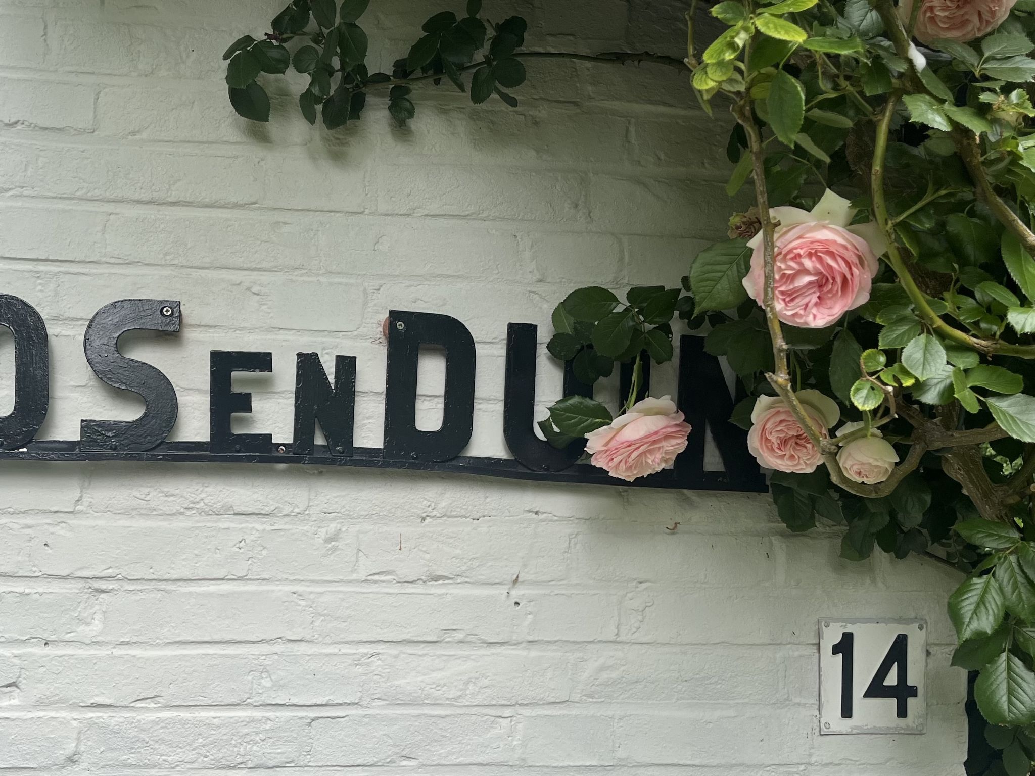 Zuidstrand - Dehors