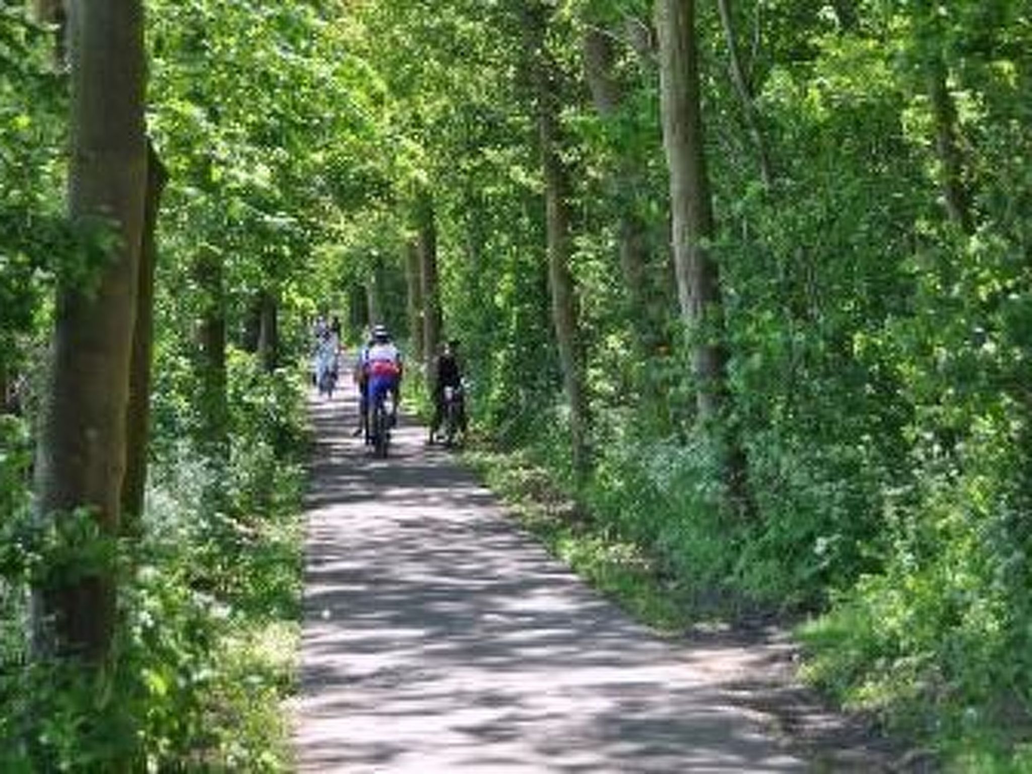 Das Spaier 3A-Binnen