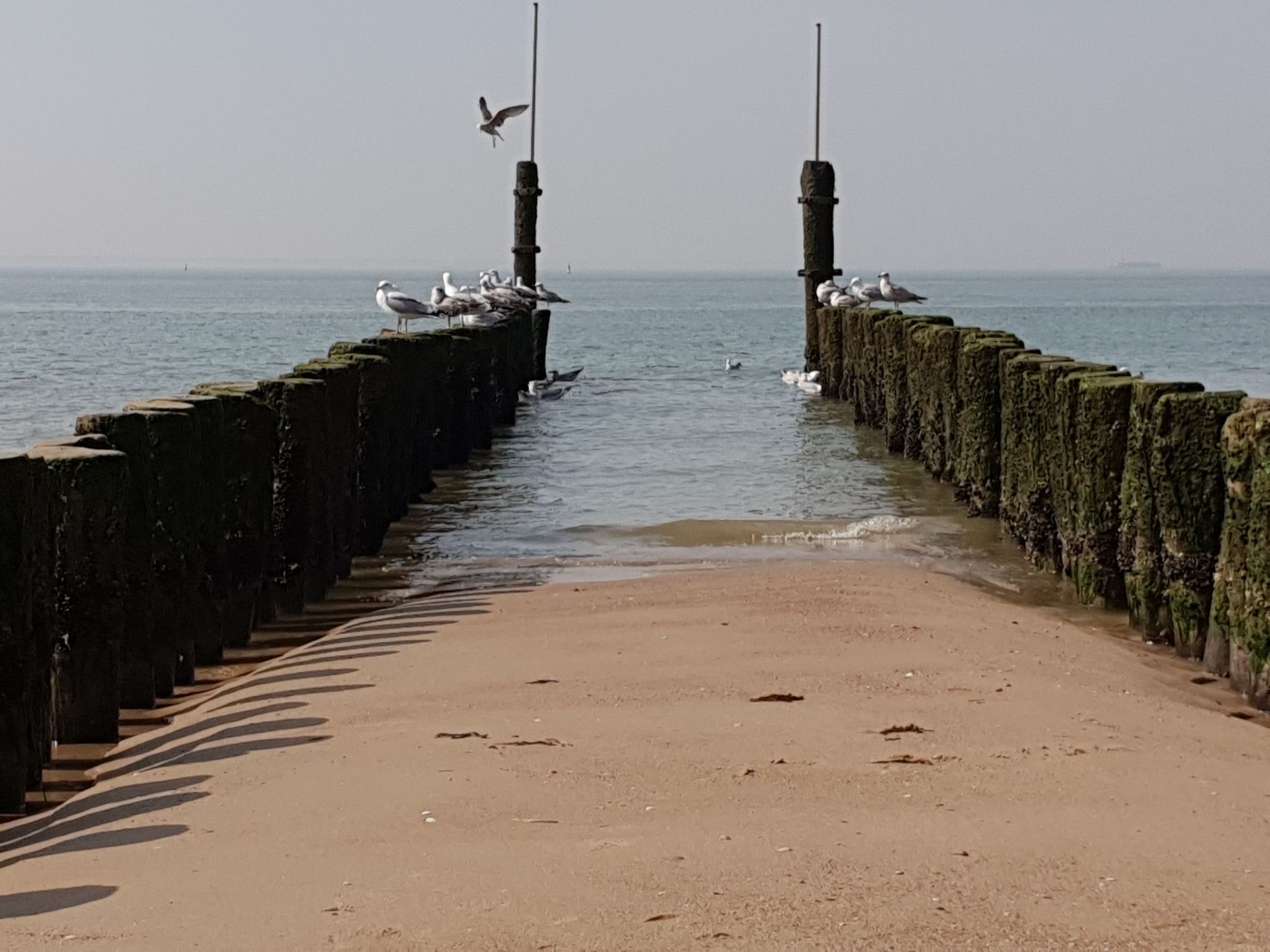 Havenzicht National Monument-Drinnen