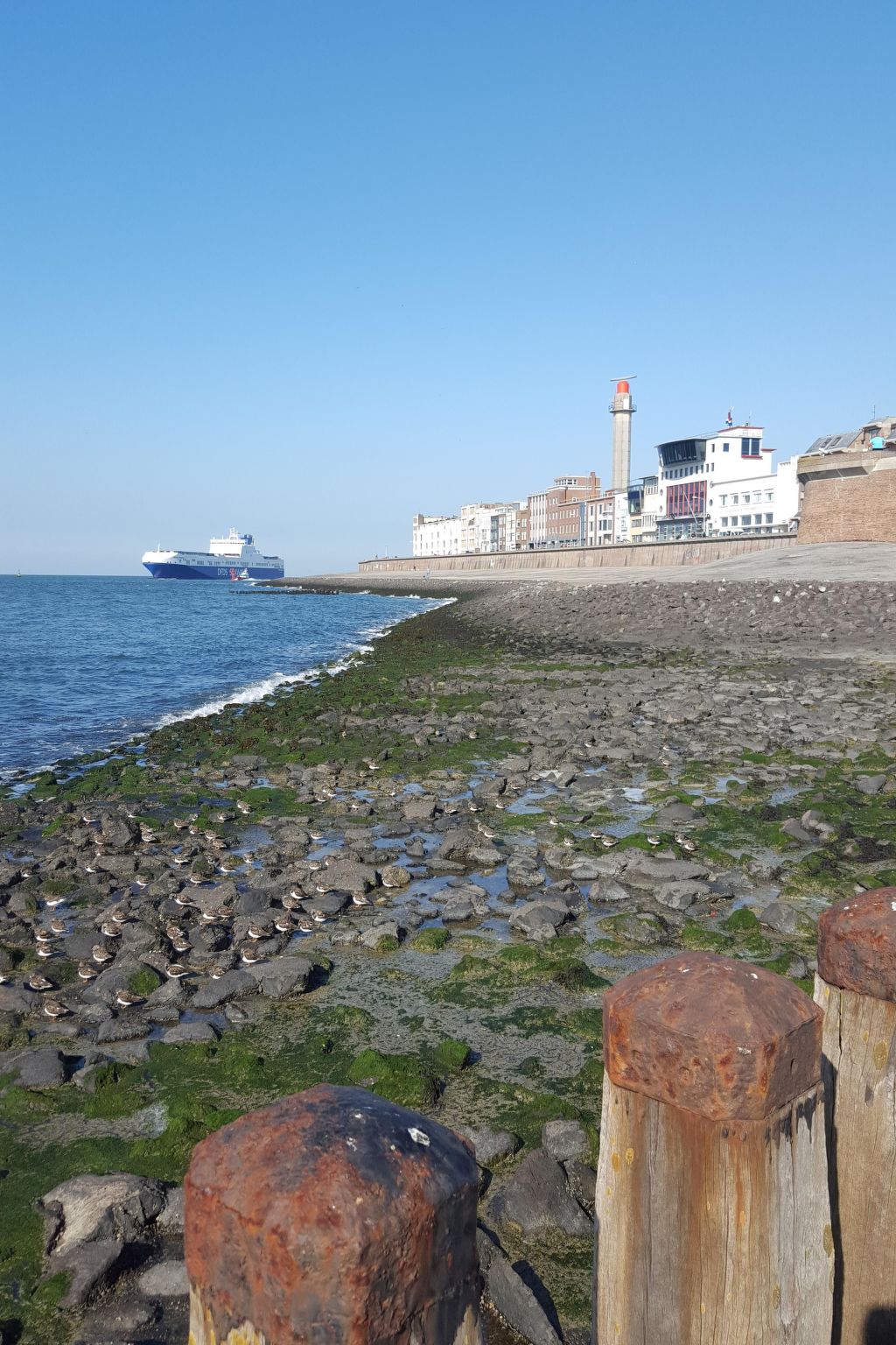 Studio-Wohnung 'Studio Zeezicht'-Dedans